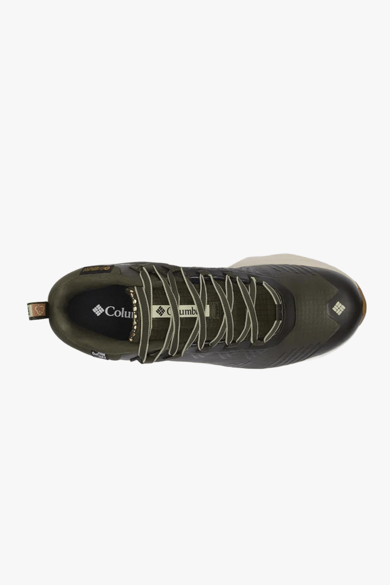 Columbia Zapatillas Facet 75 Equinox Verde 3/7