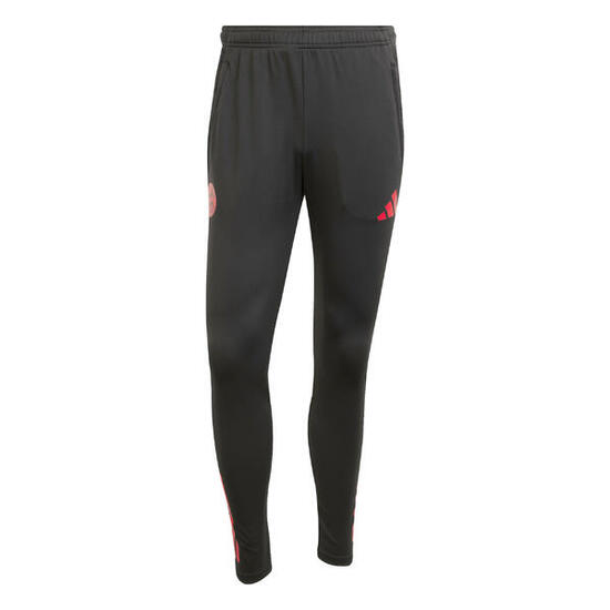 adidas Herren FC Bayern München Trainingshose 2025/26 EU TR PNT