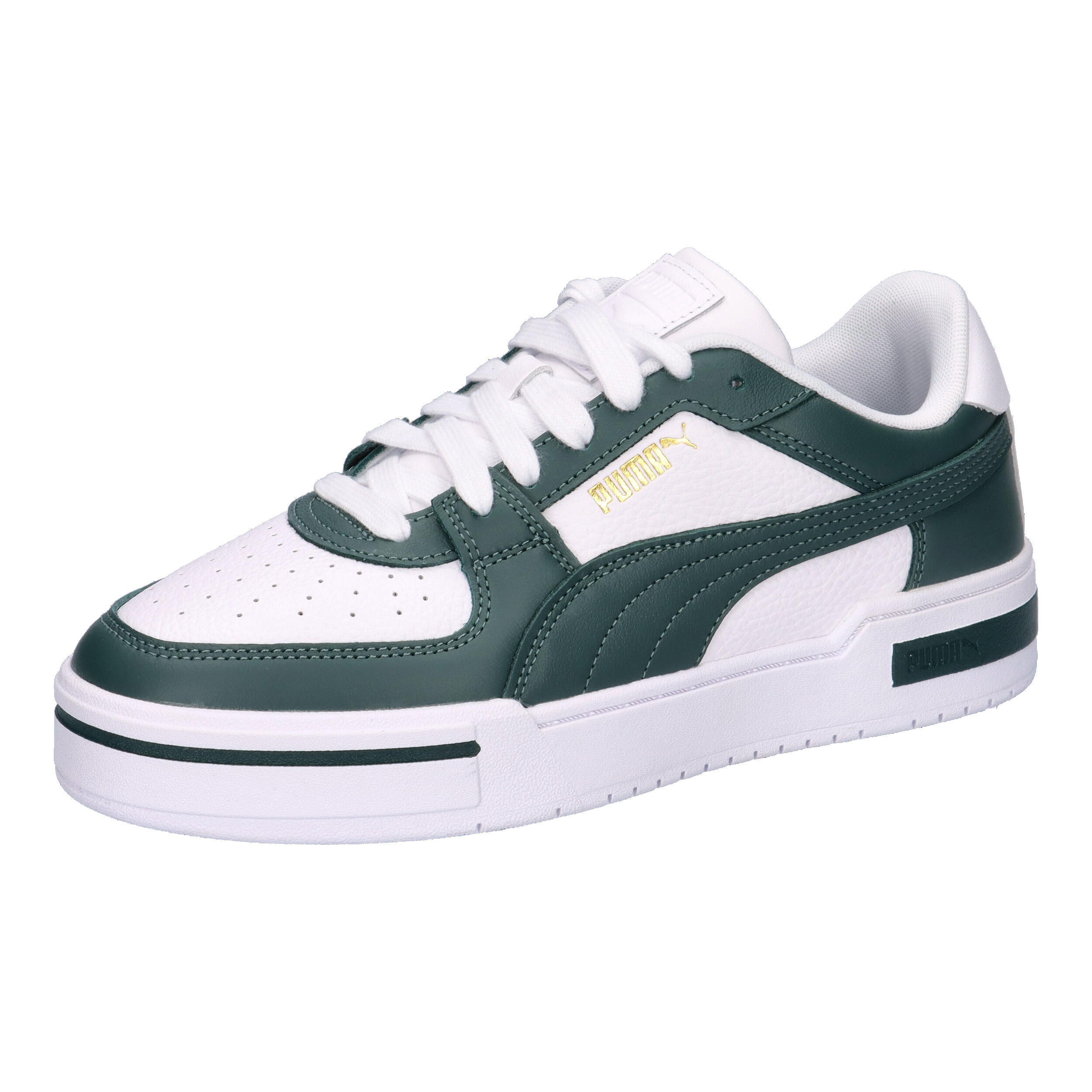 PUMA picture