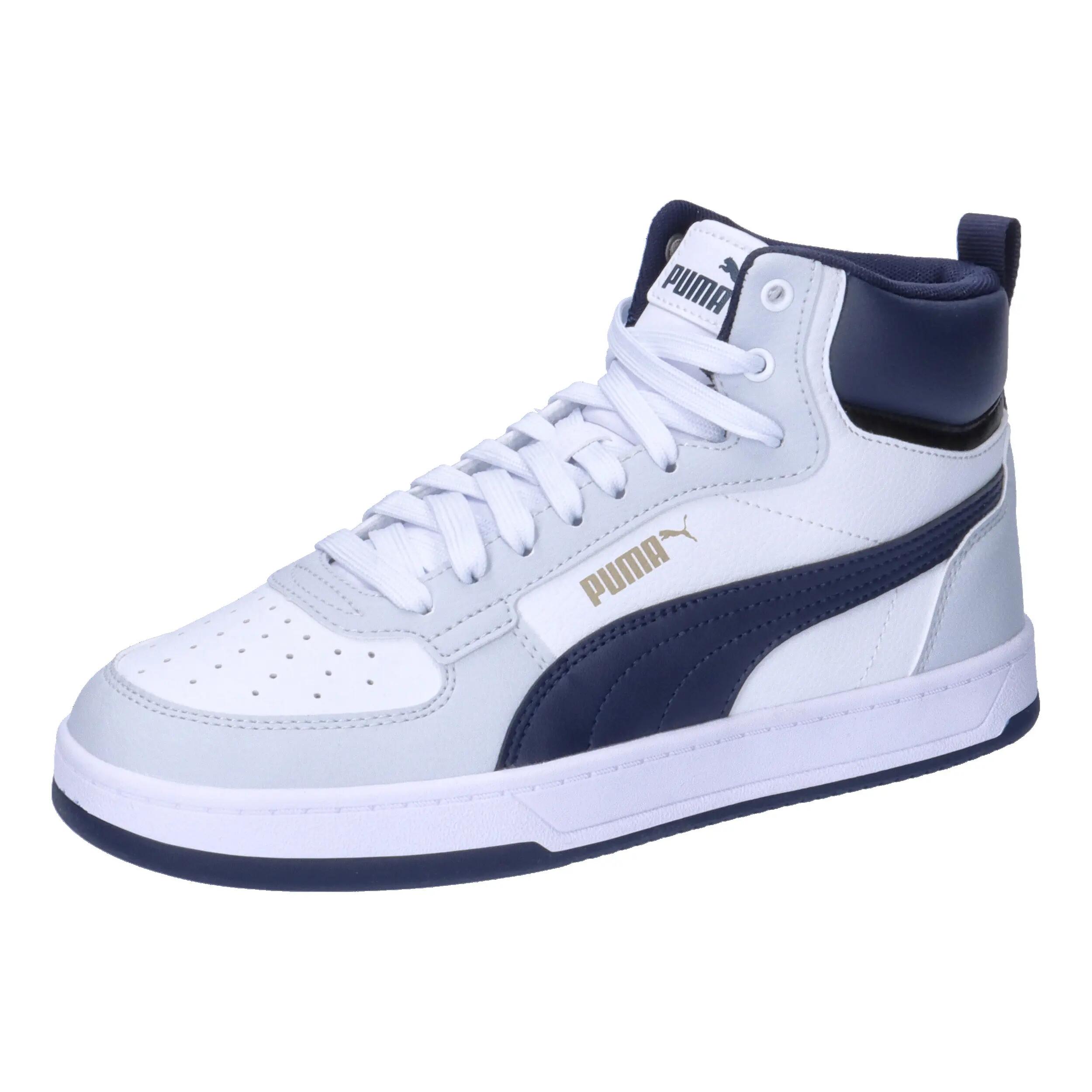 PUMA picture