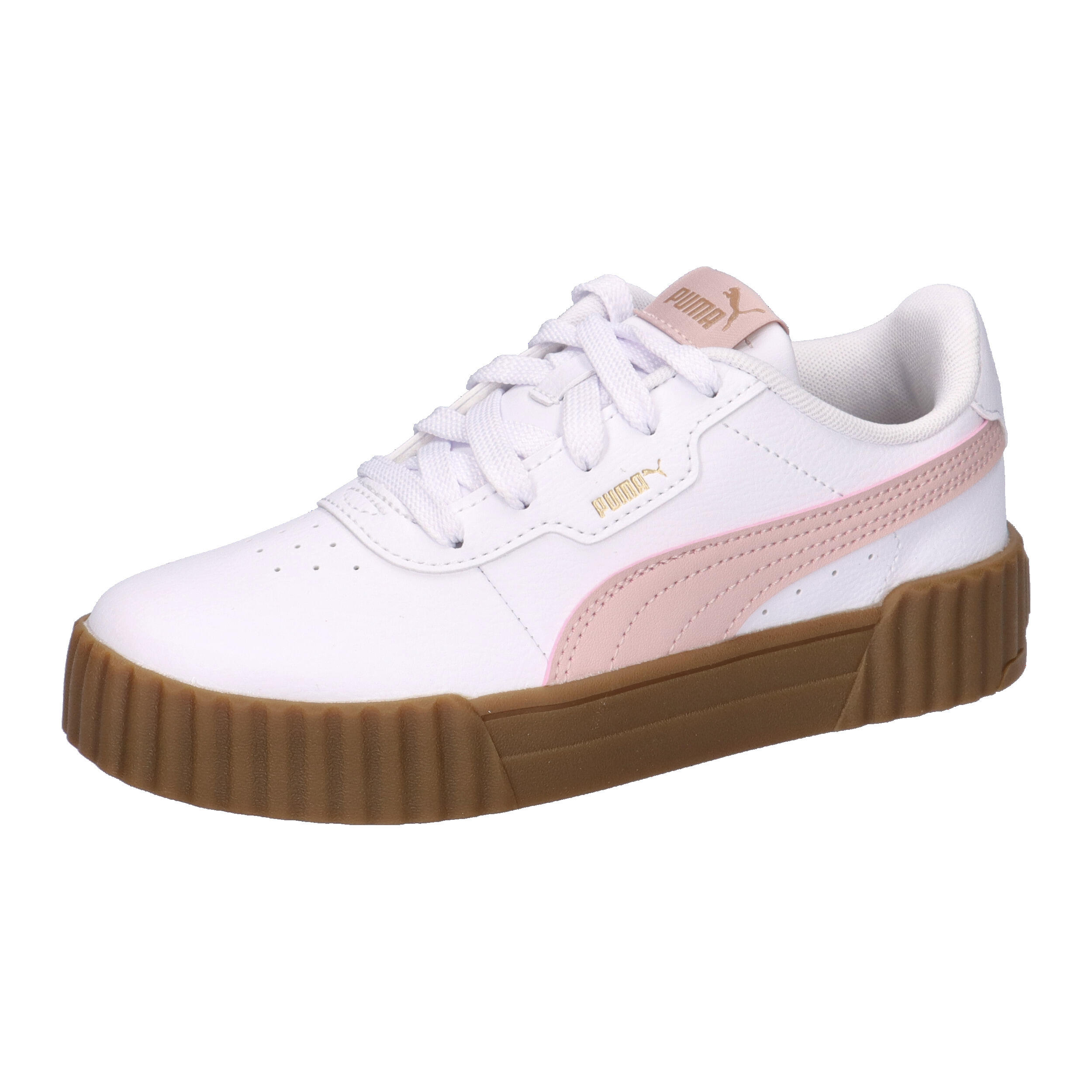 PUMA picture