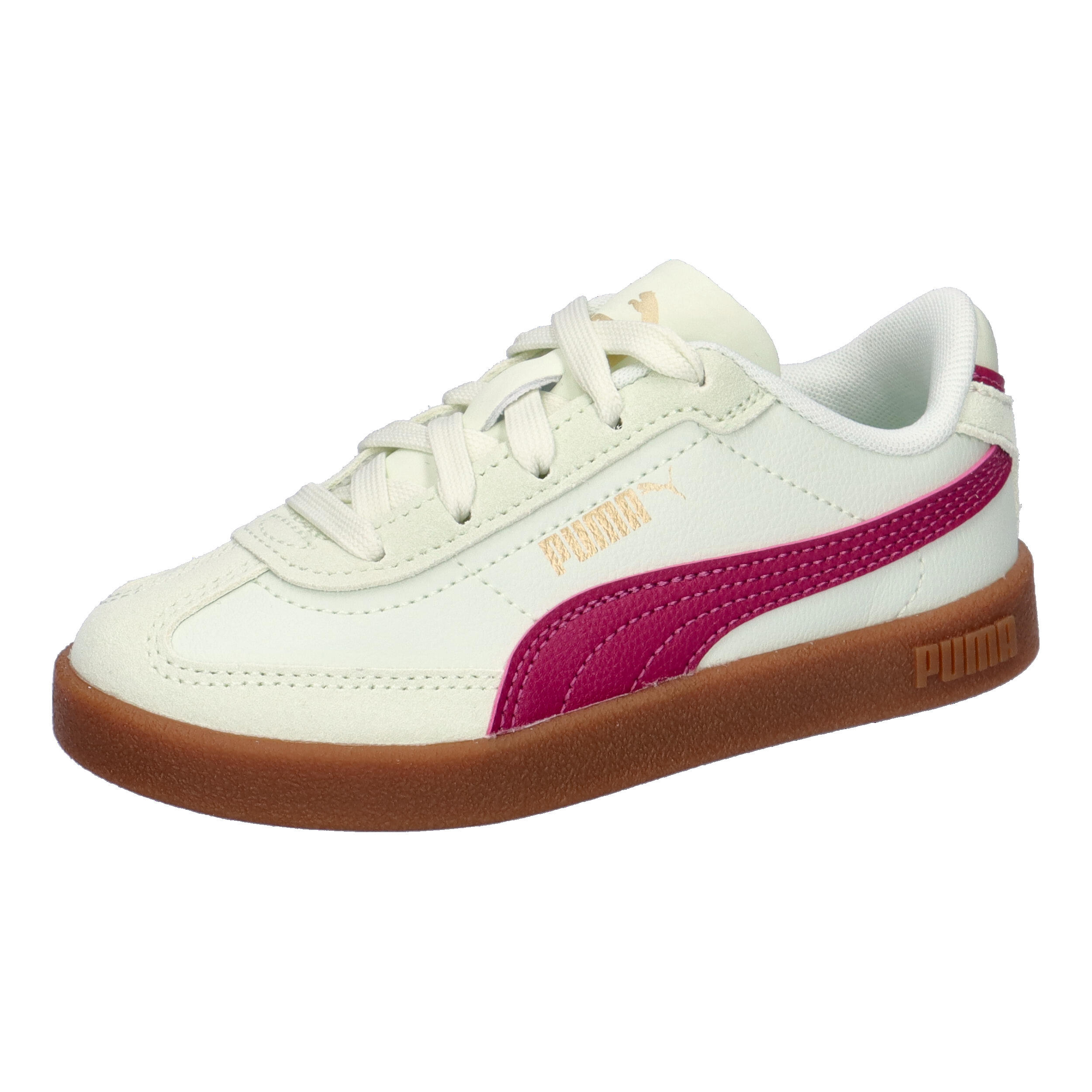 PUMA picture