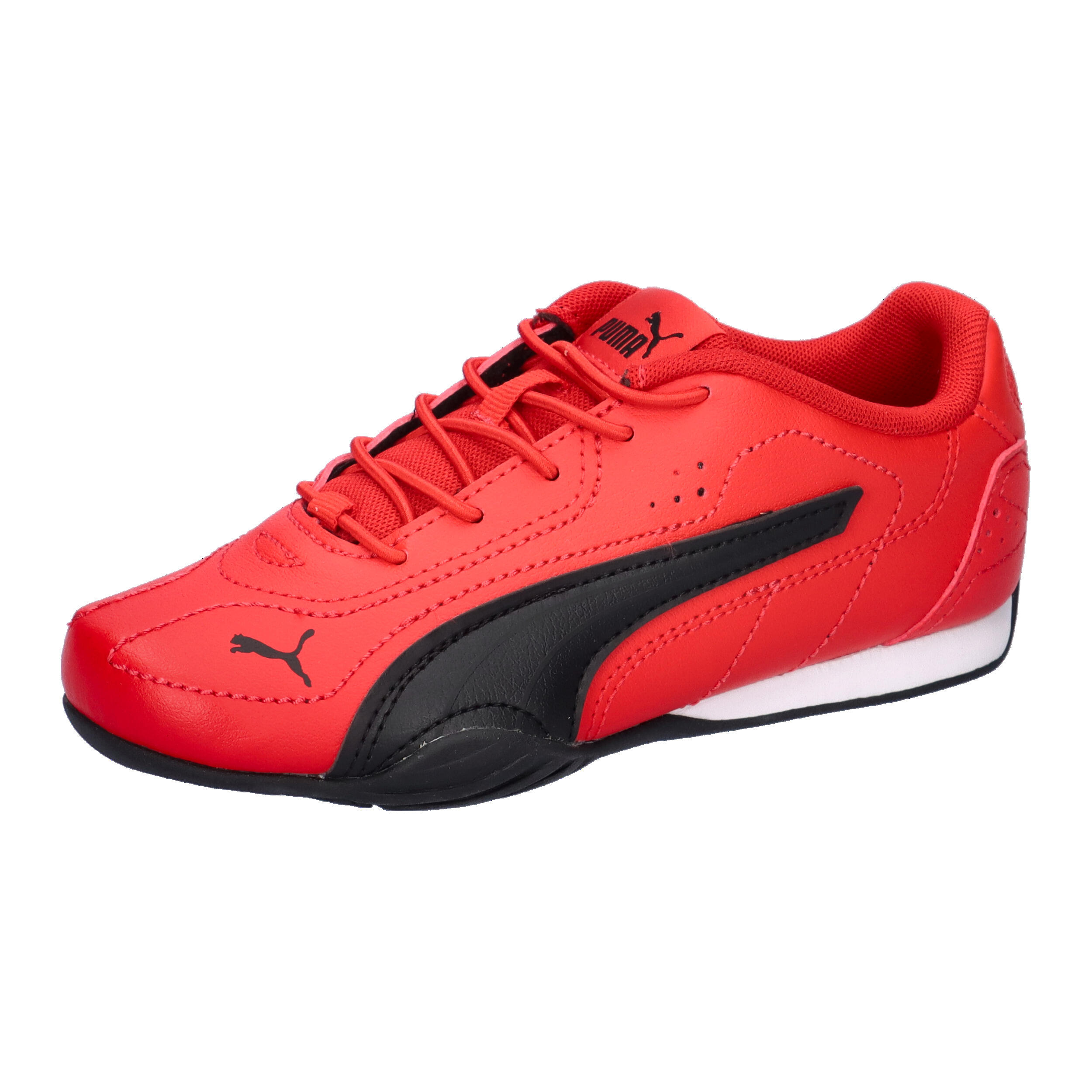 PUMA picture