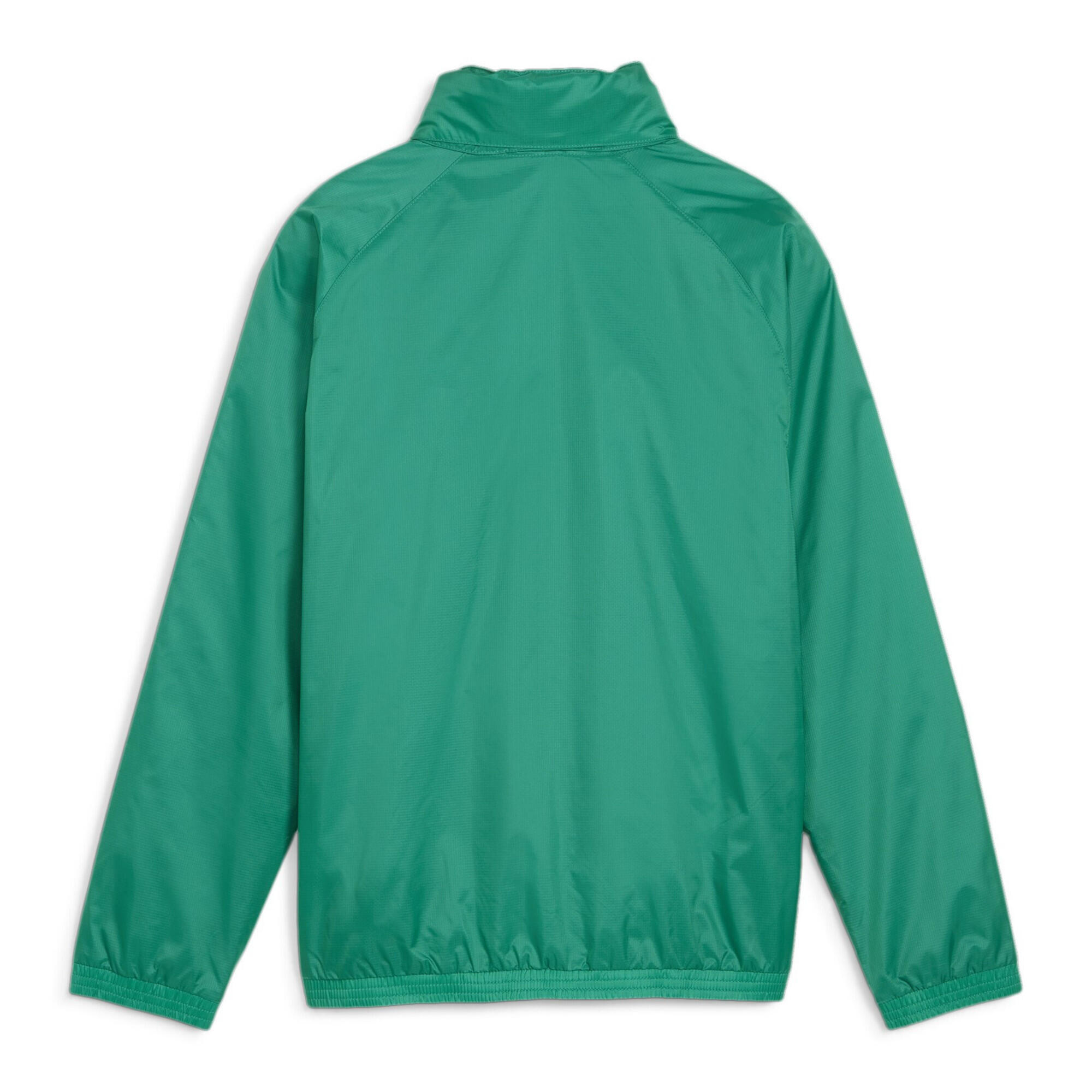 PUMA TeamGOAL All-Weather Jacket green/white | Decathlon