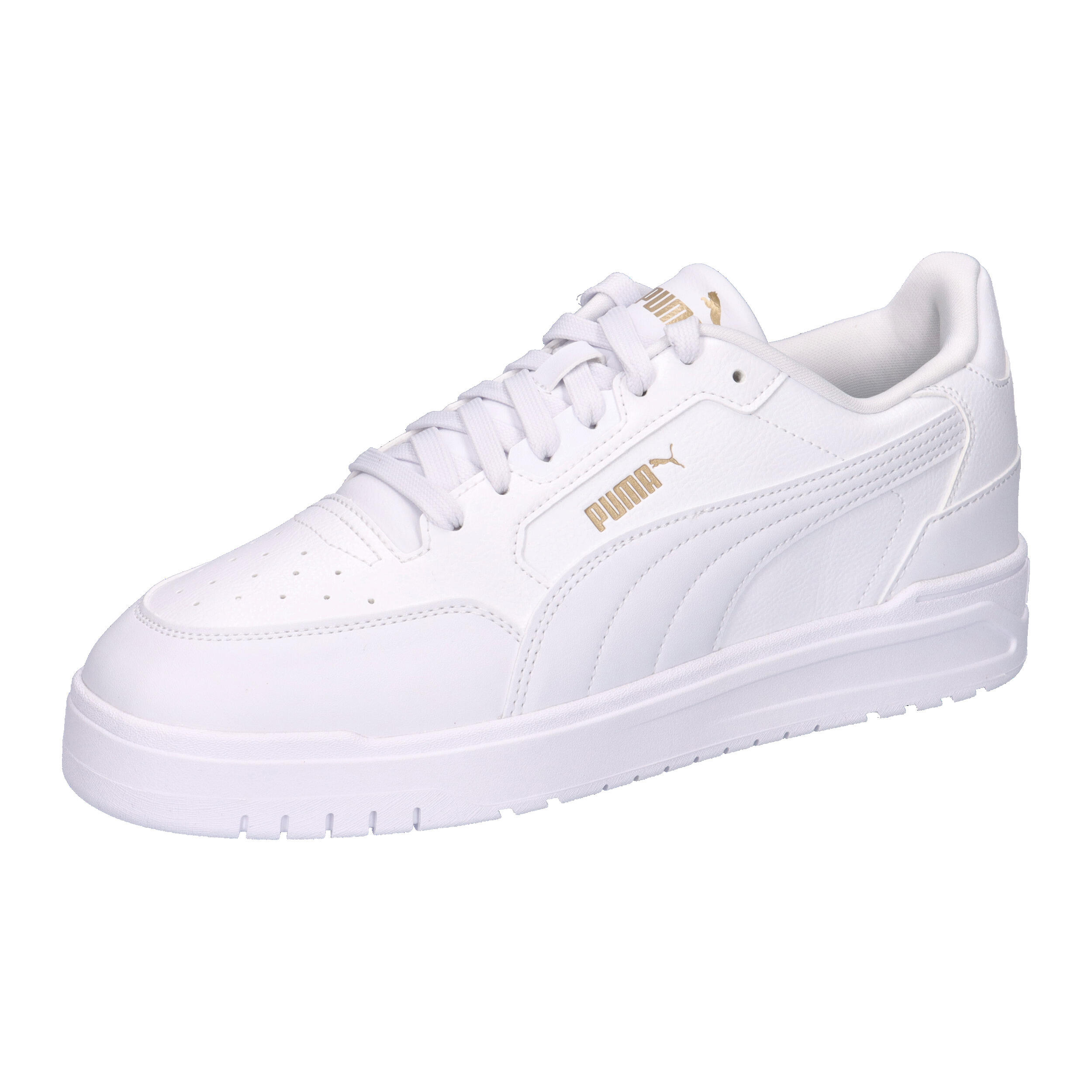 PUMA picture