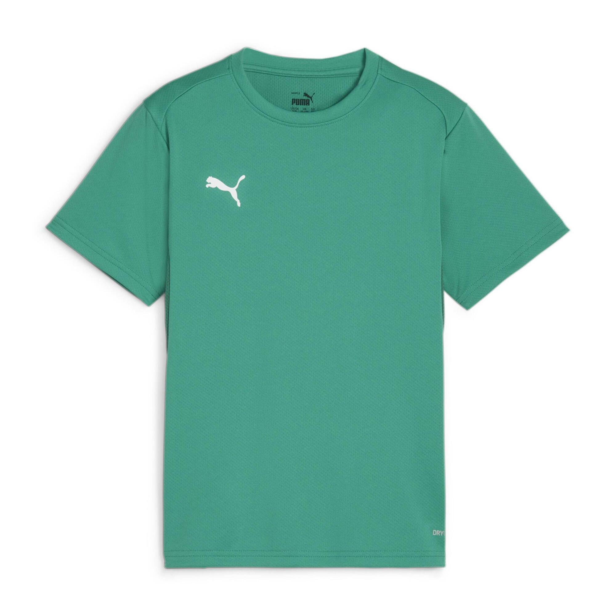 PUMA picture