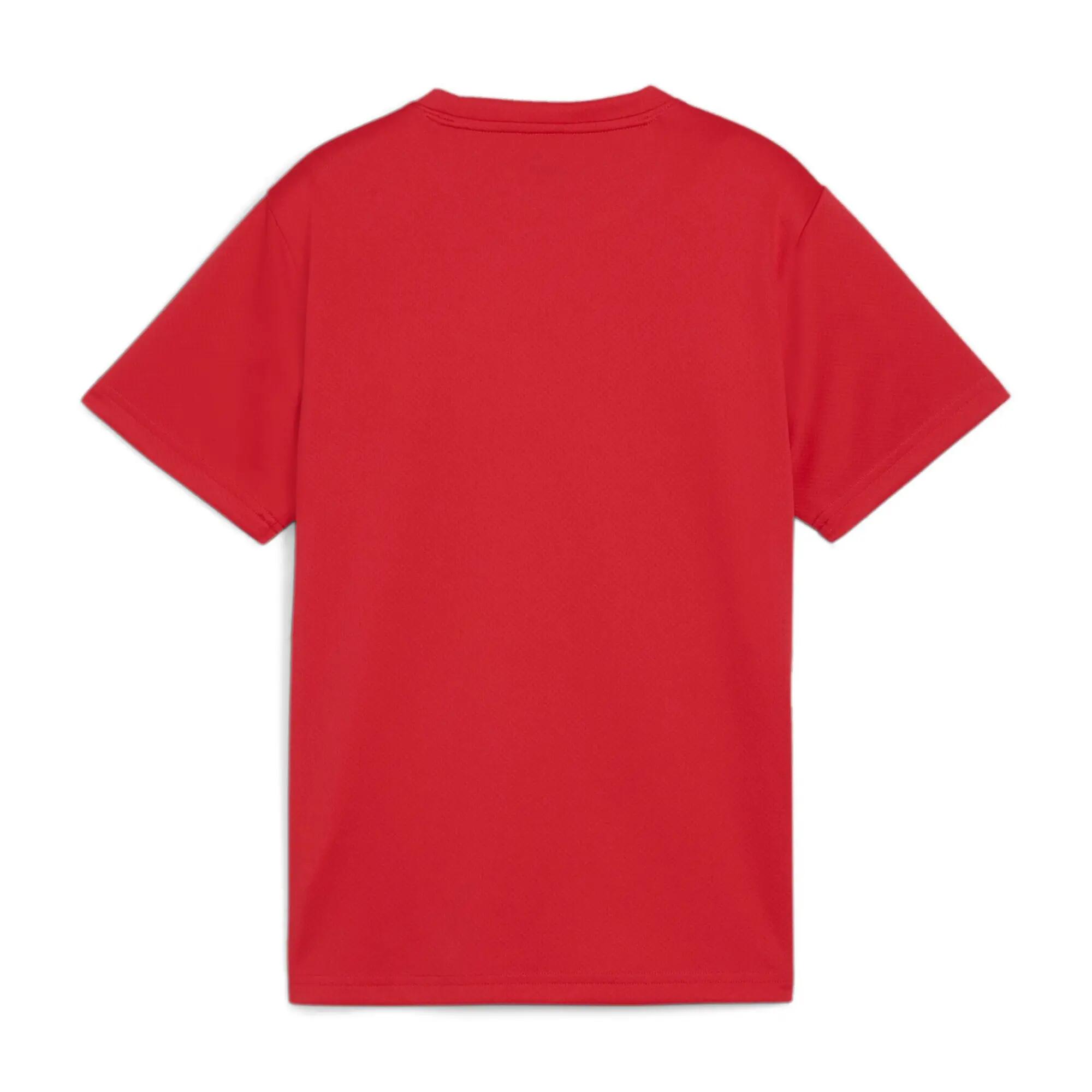 Puma Kinder T-Shirt teamGOAL Jersey Jr 658637 2/3