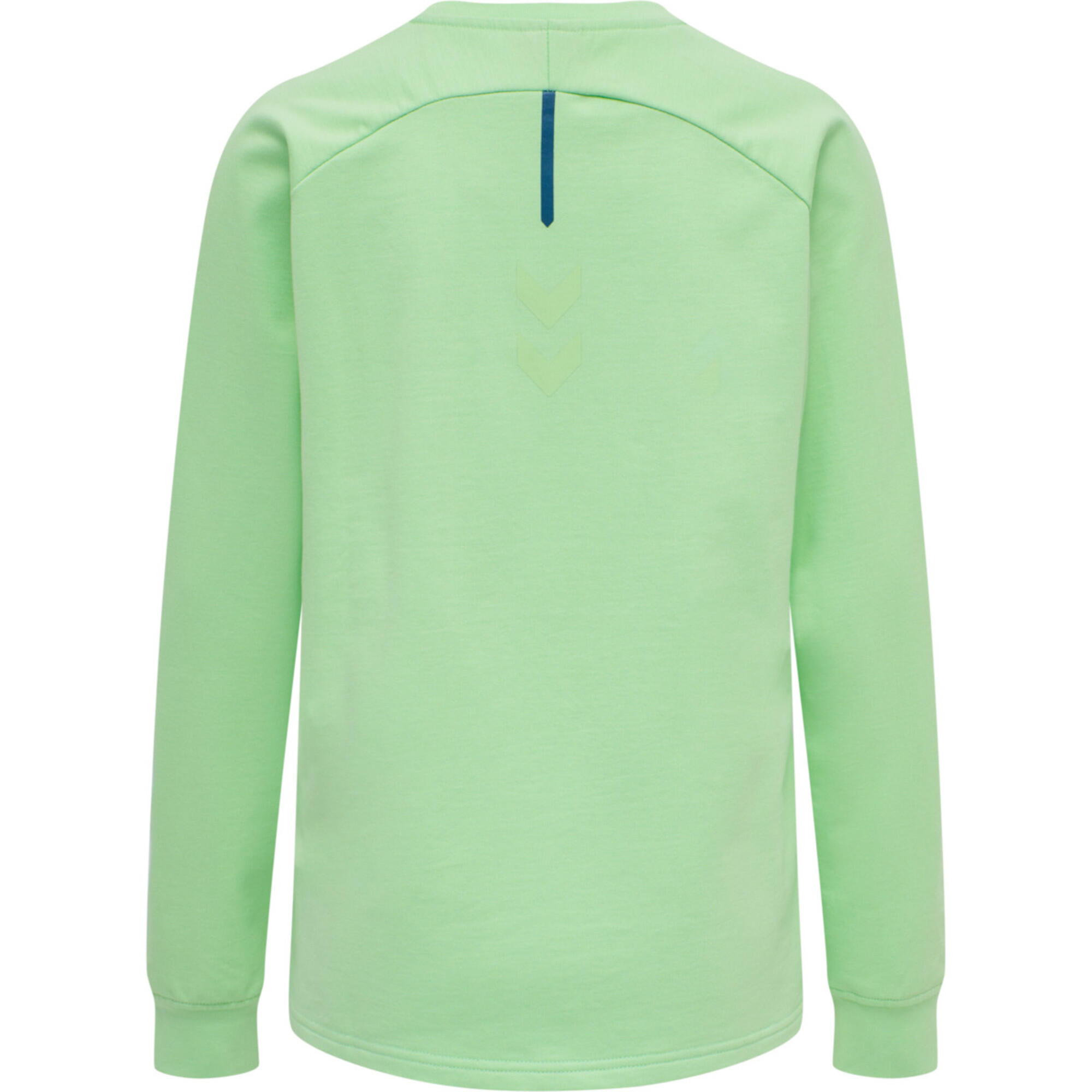 Hummel Kinder Pullover ACTION COTTON SWEATSHIRT KIDS 211096 2/3