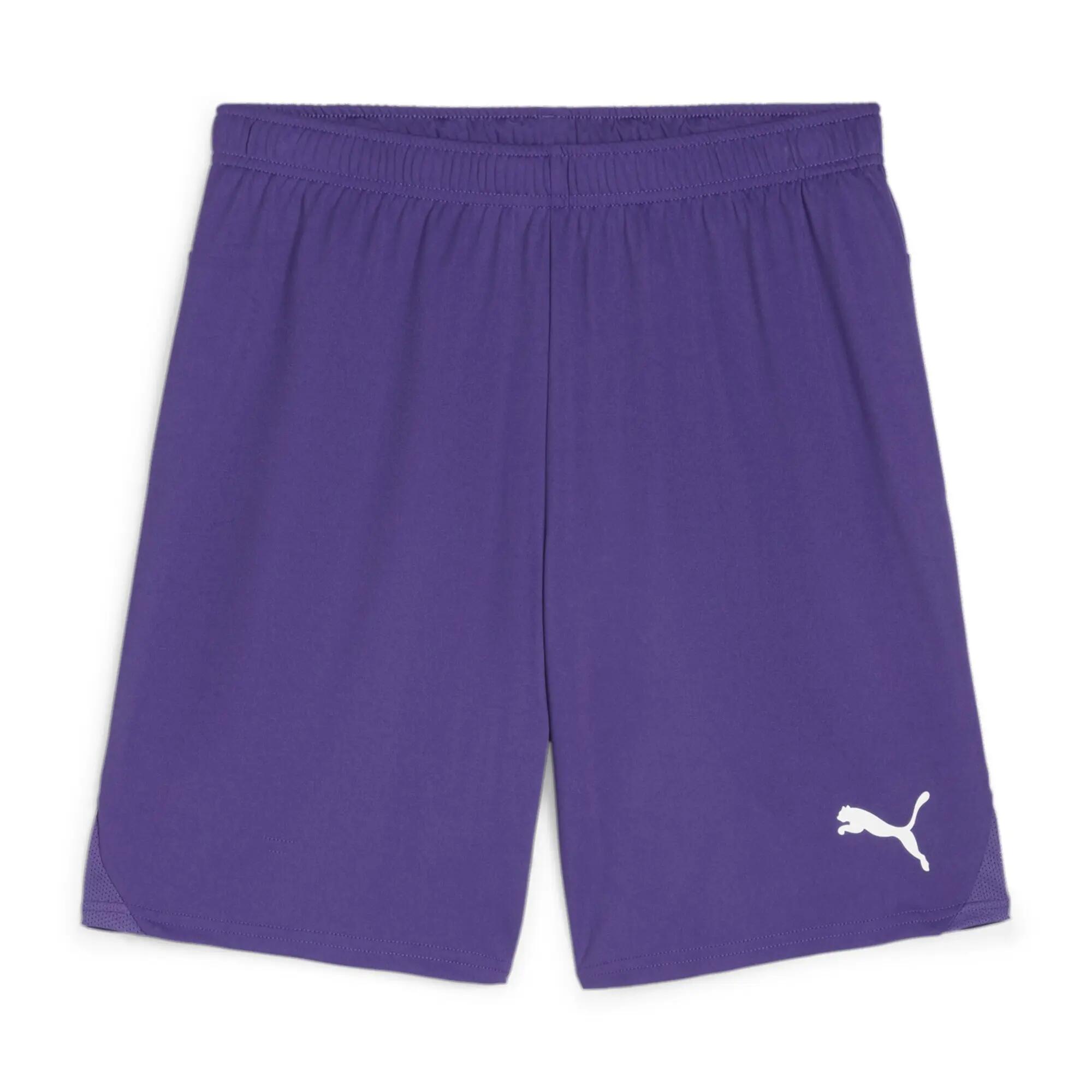 PUMA picture