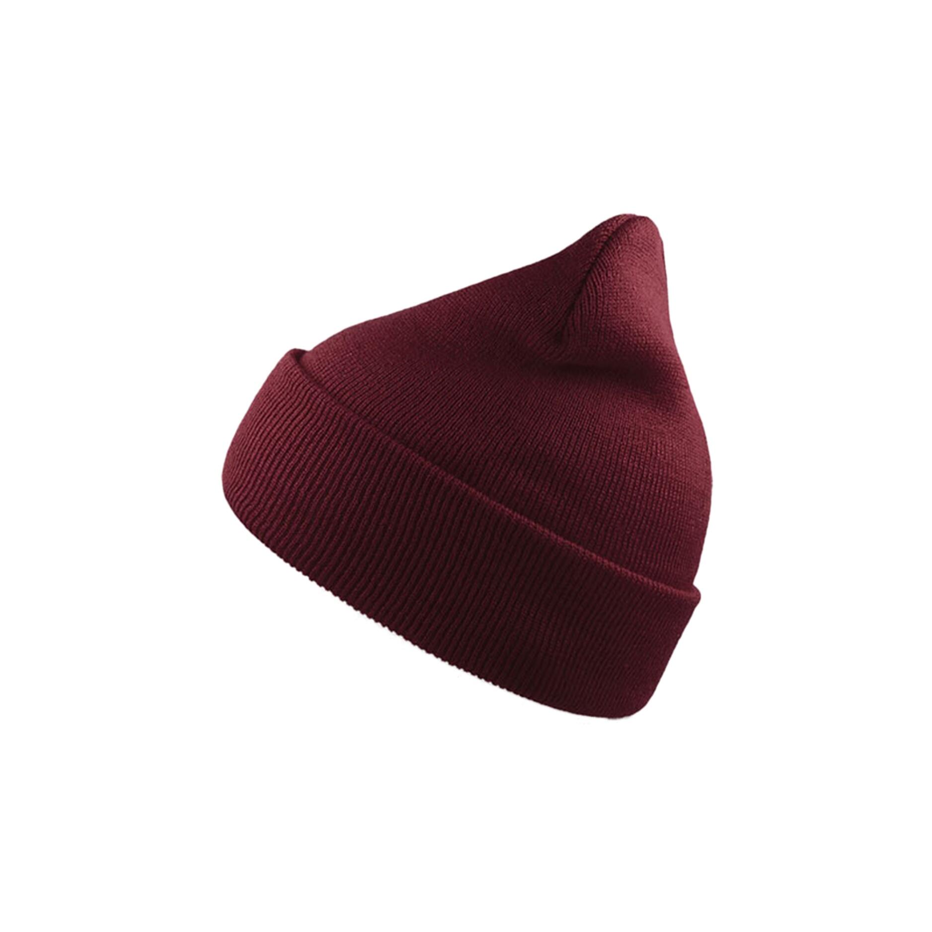 Wind Double Skin Beanie With Turn Up (Burgundy) 1/3