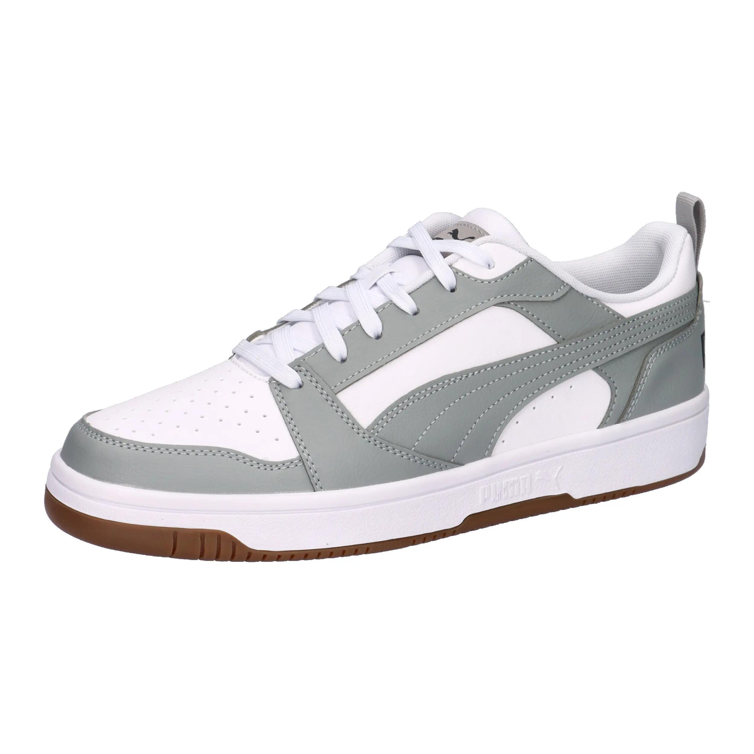 PUMA picture