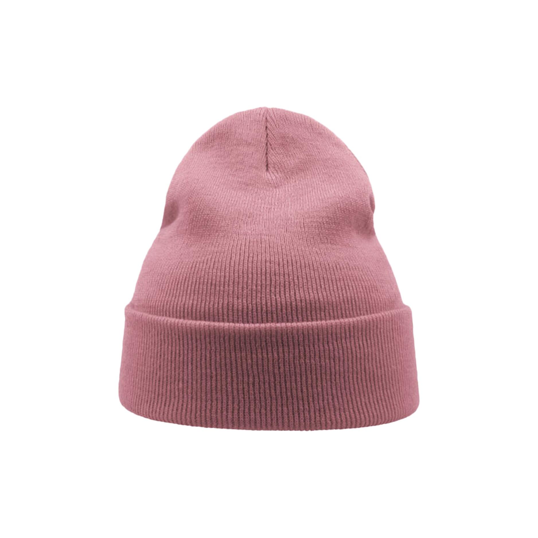 Wind Double Skin Beanie With Turn Up (Pink) 3/3