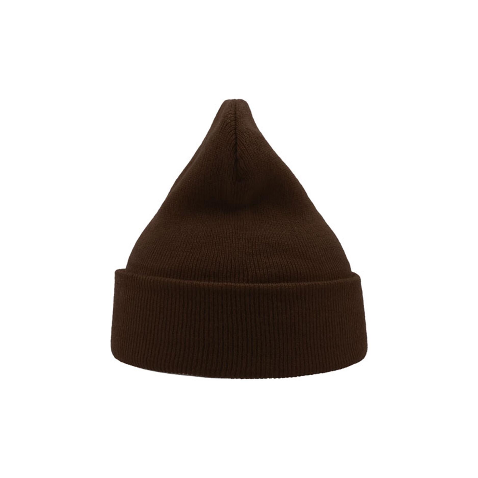Wind Double Skin Beanie With Turn Up (Brown) 2/3