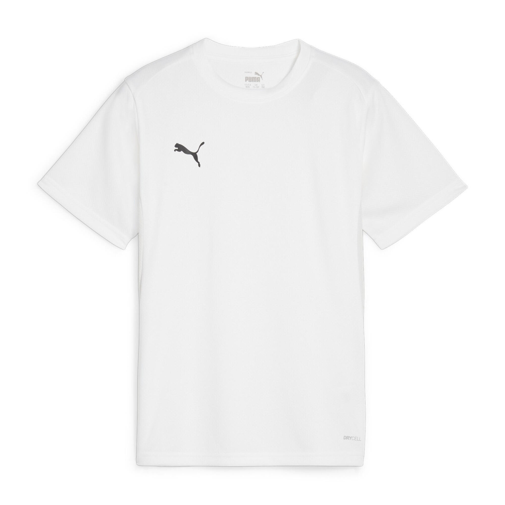 PUMA picture