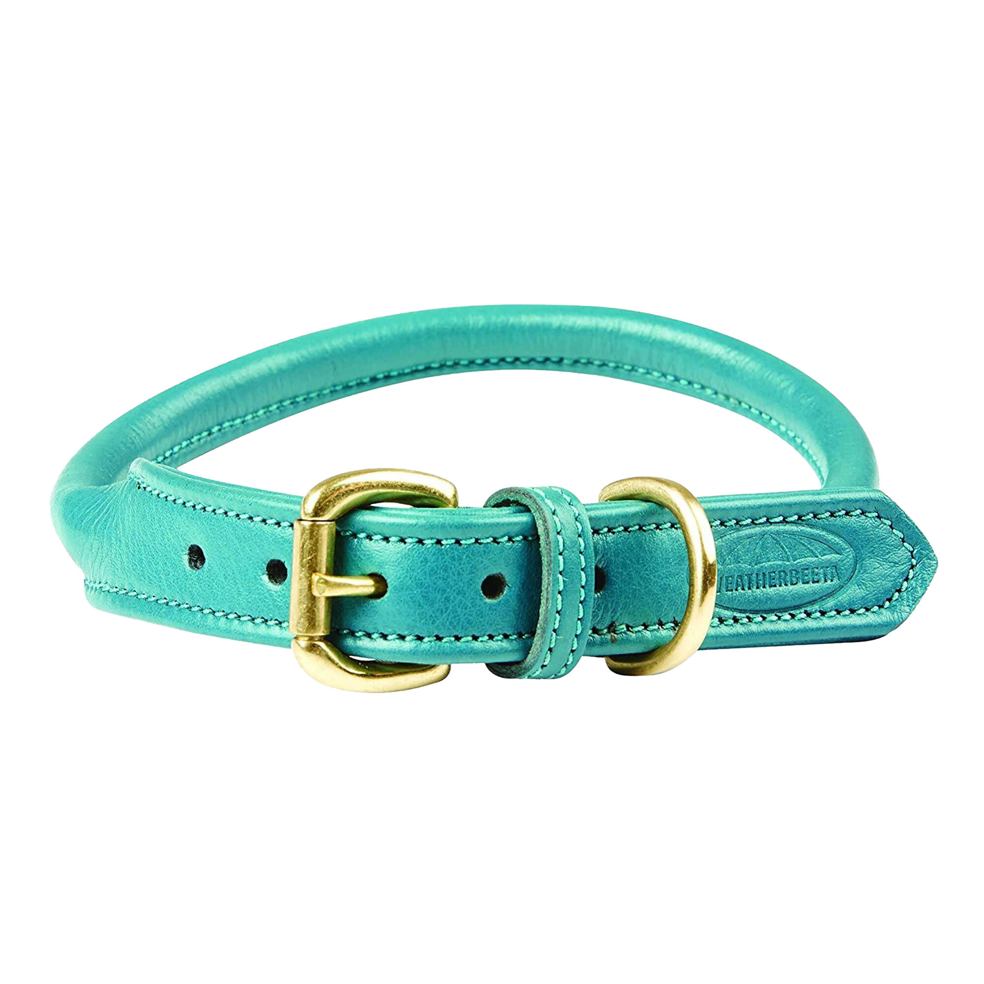 Rolled Leather Dog Collar (Teal) 1/2