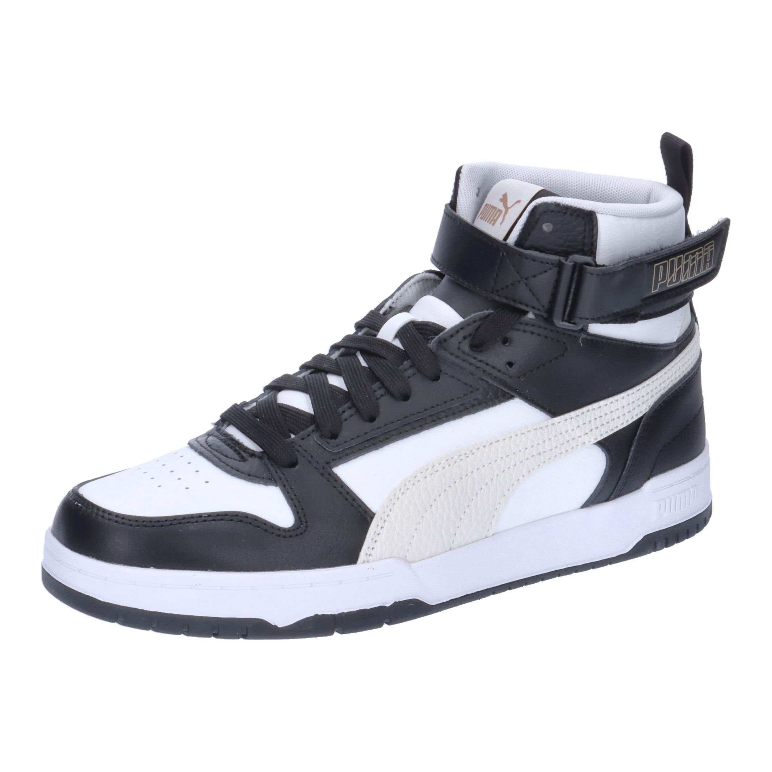 PUMA picture