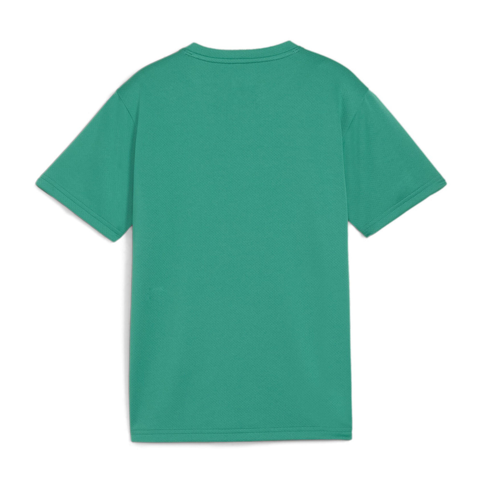 Camiseta para niños Puma TeamGoal Jersey 2/2