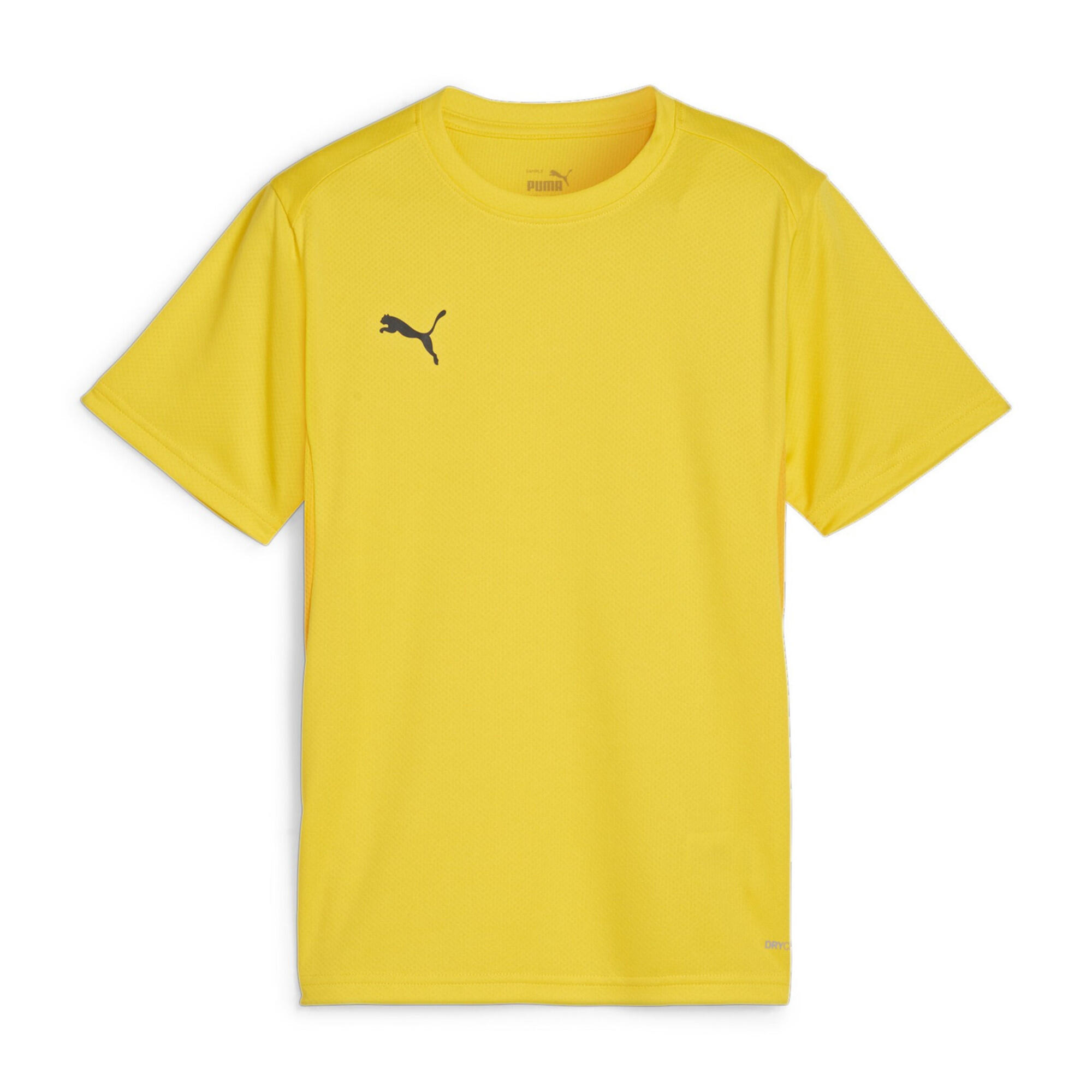 PUMA picture