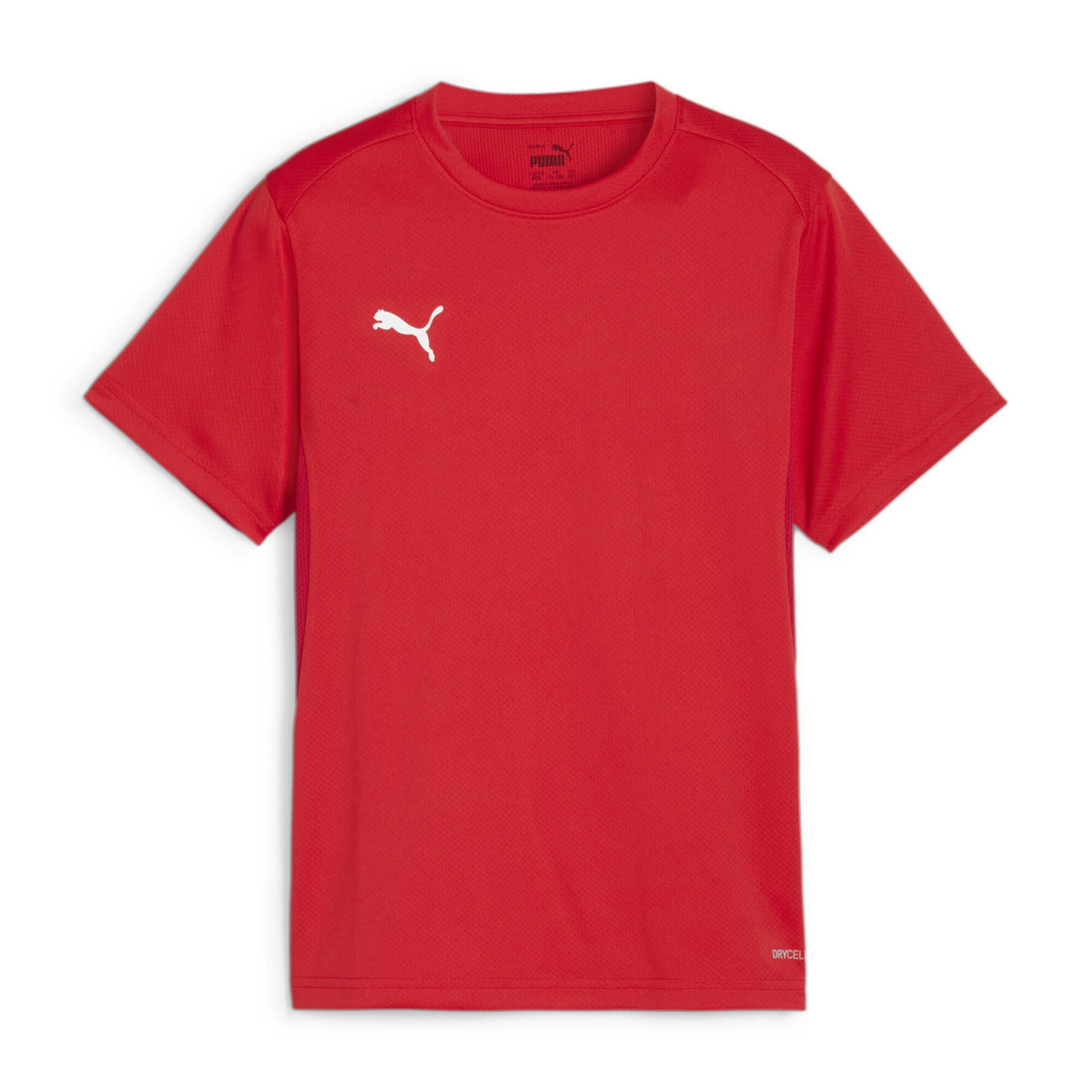 PUMA picture