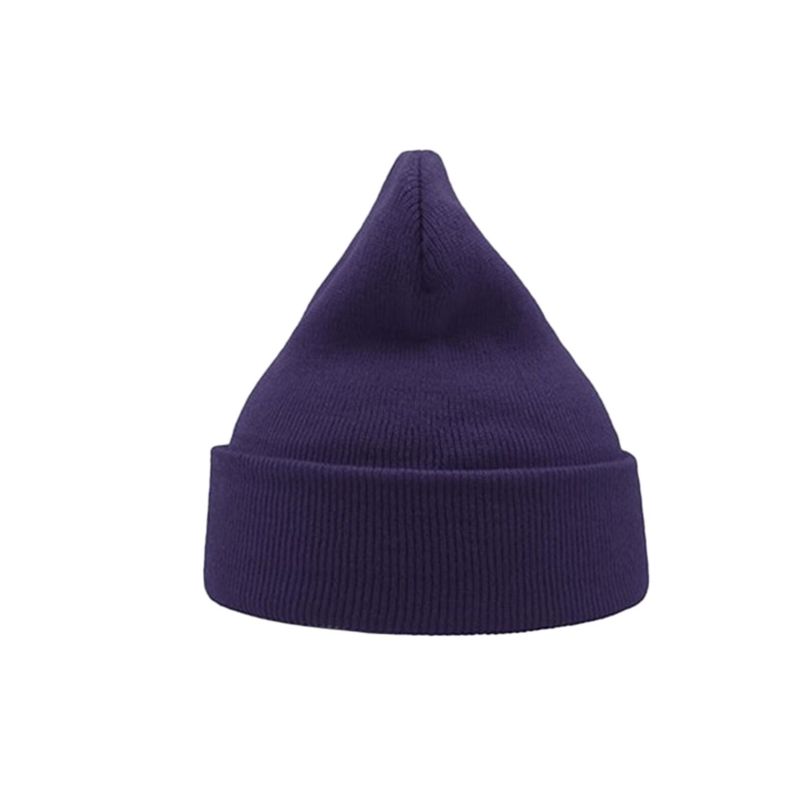 Wind Double Skin Beanie With Turn Up (Purple) 2/3