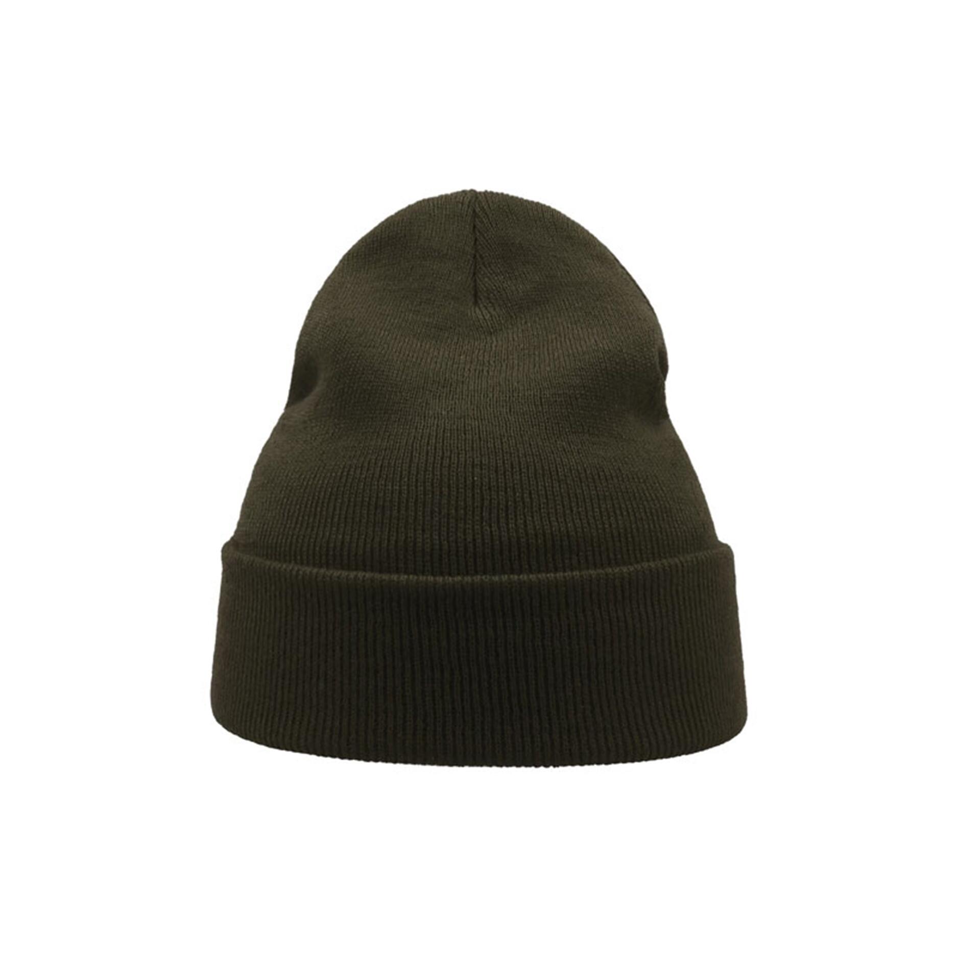 Wind Double Skin Beanie With Turn Up (Olive) 3/3