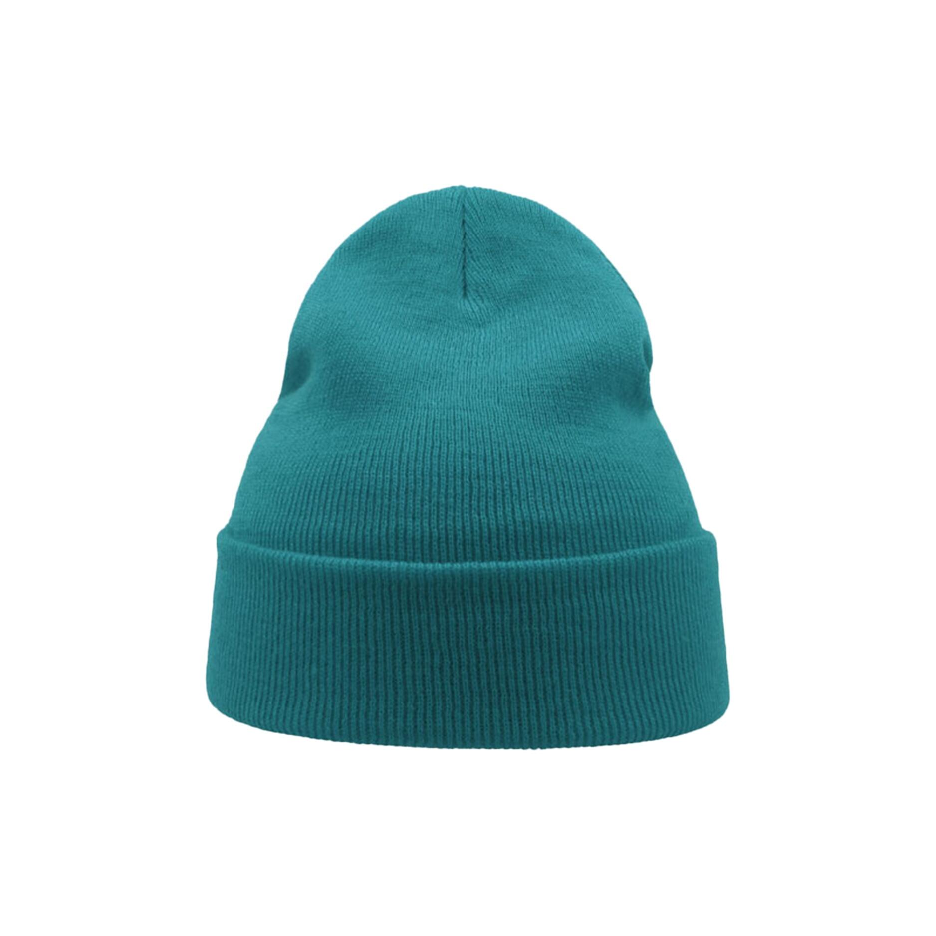 Wind Double Skin Beanie With Turn Up (Turquoise) 3/3