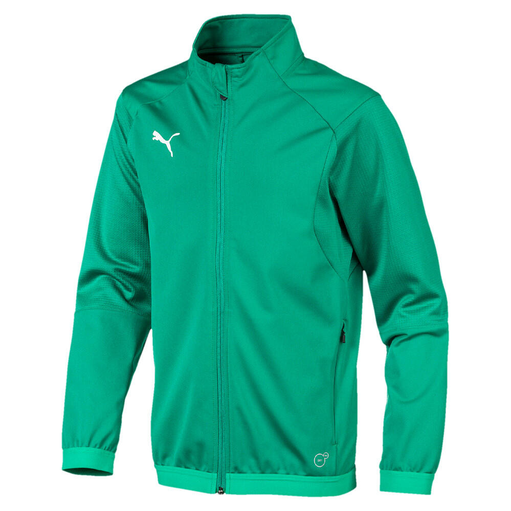 PUMA picture