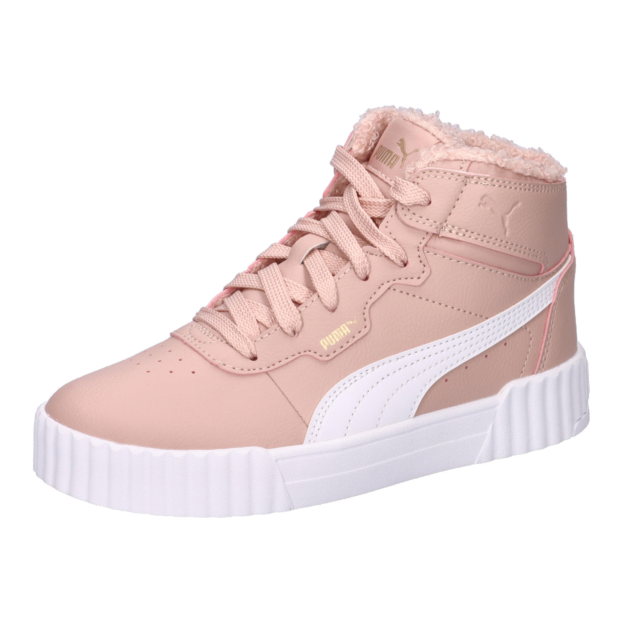 PUMA picture