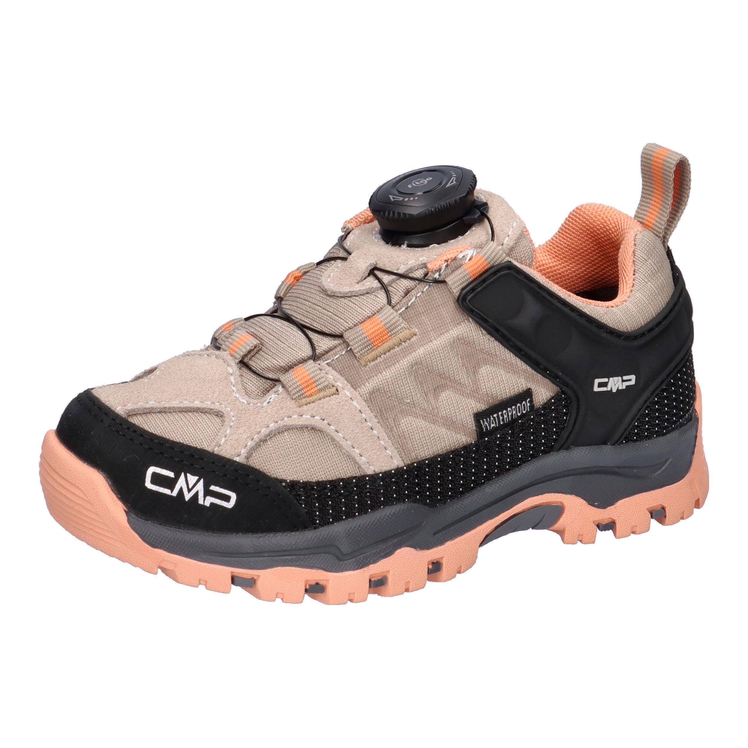 CMP picture