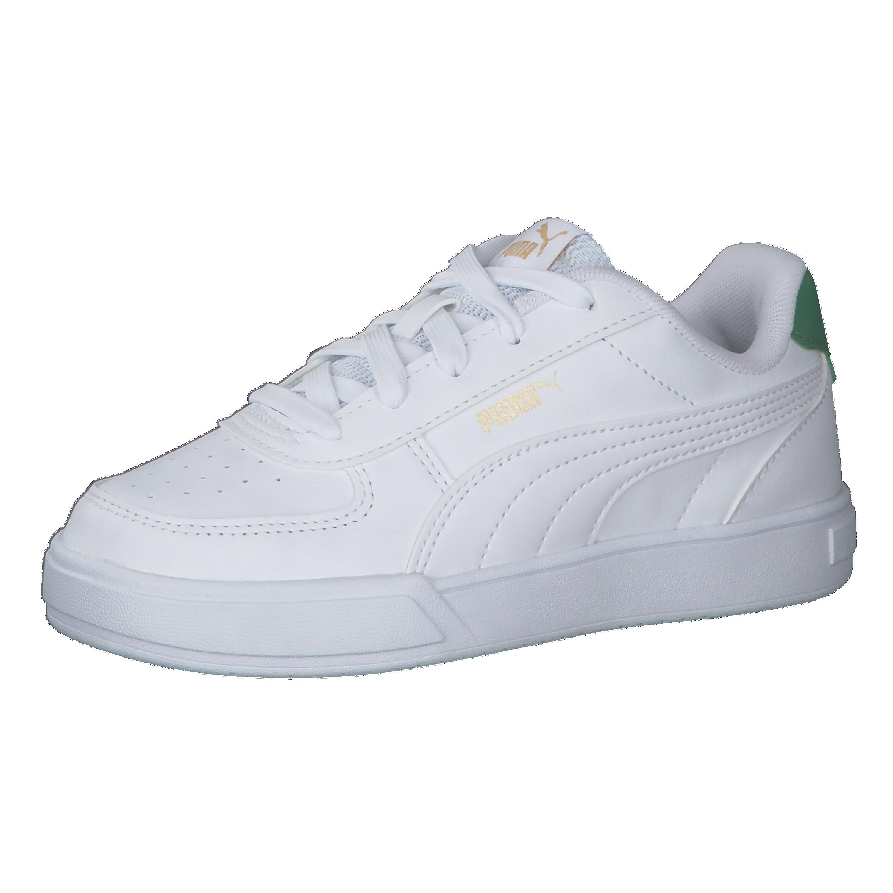 PUMA picture