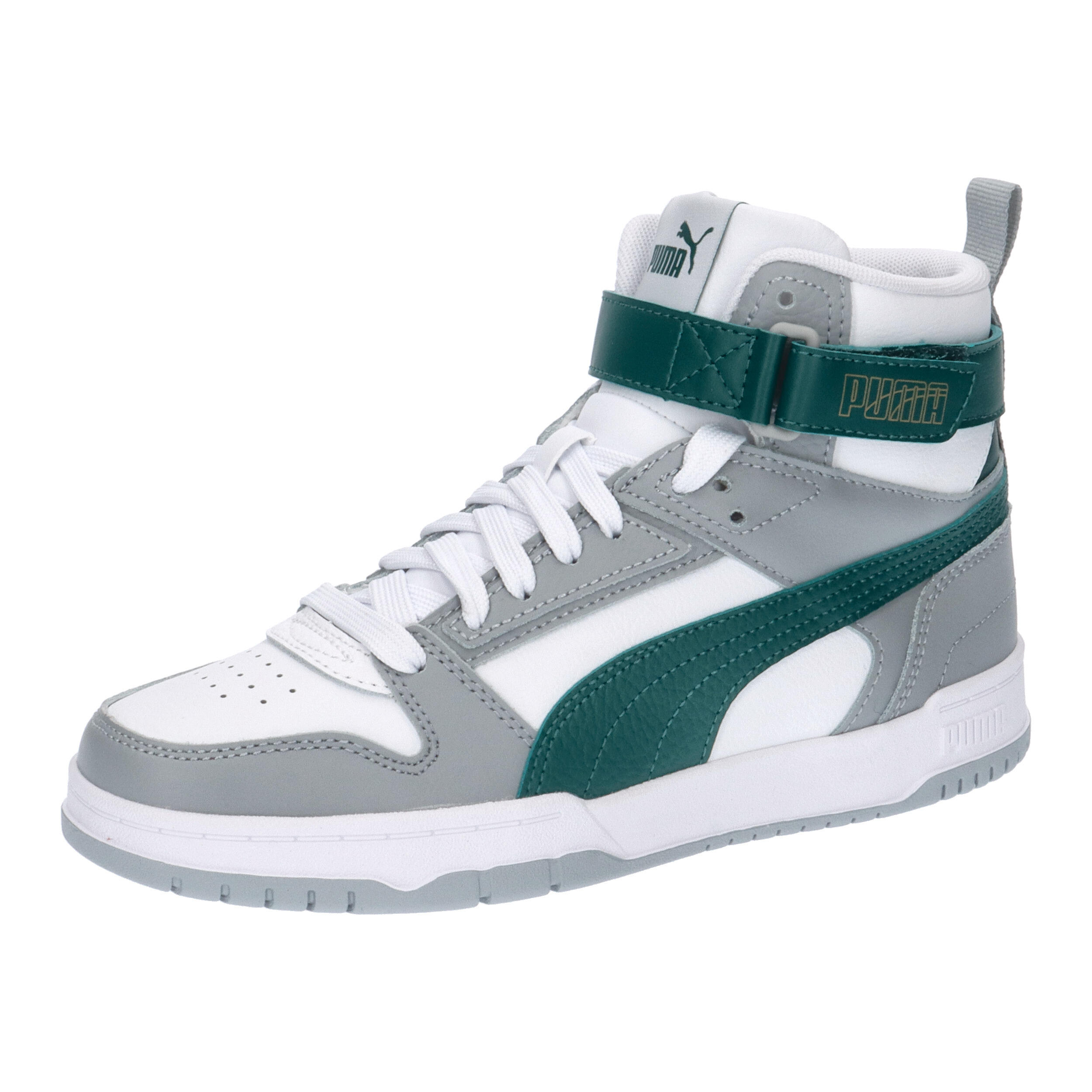PUMA picture