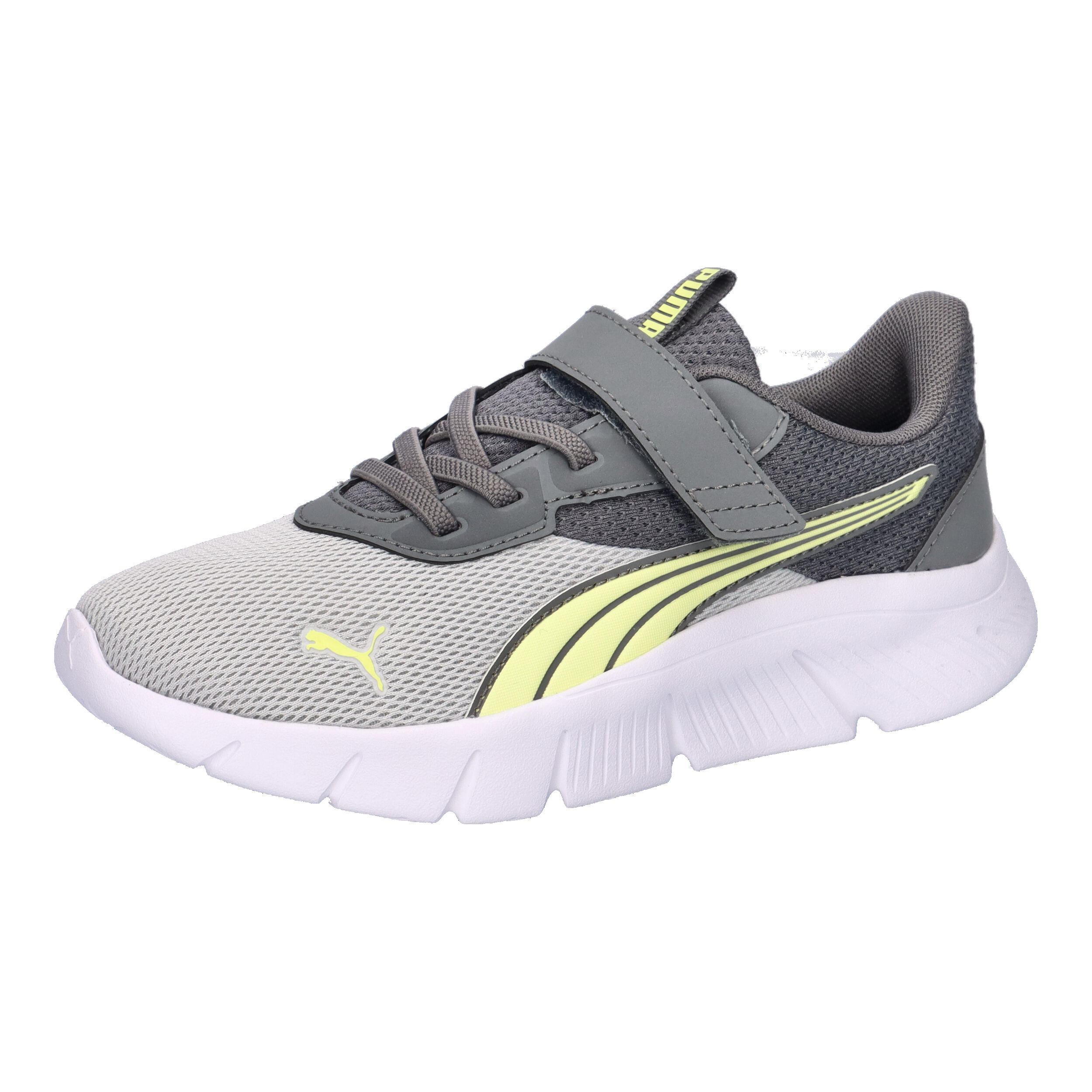 PUMA picture