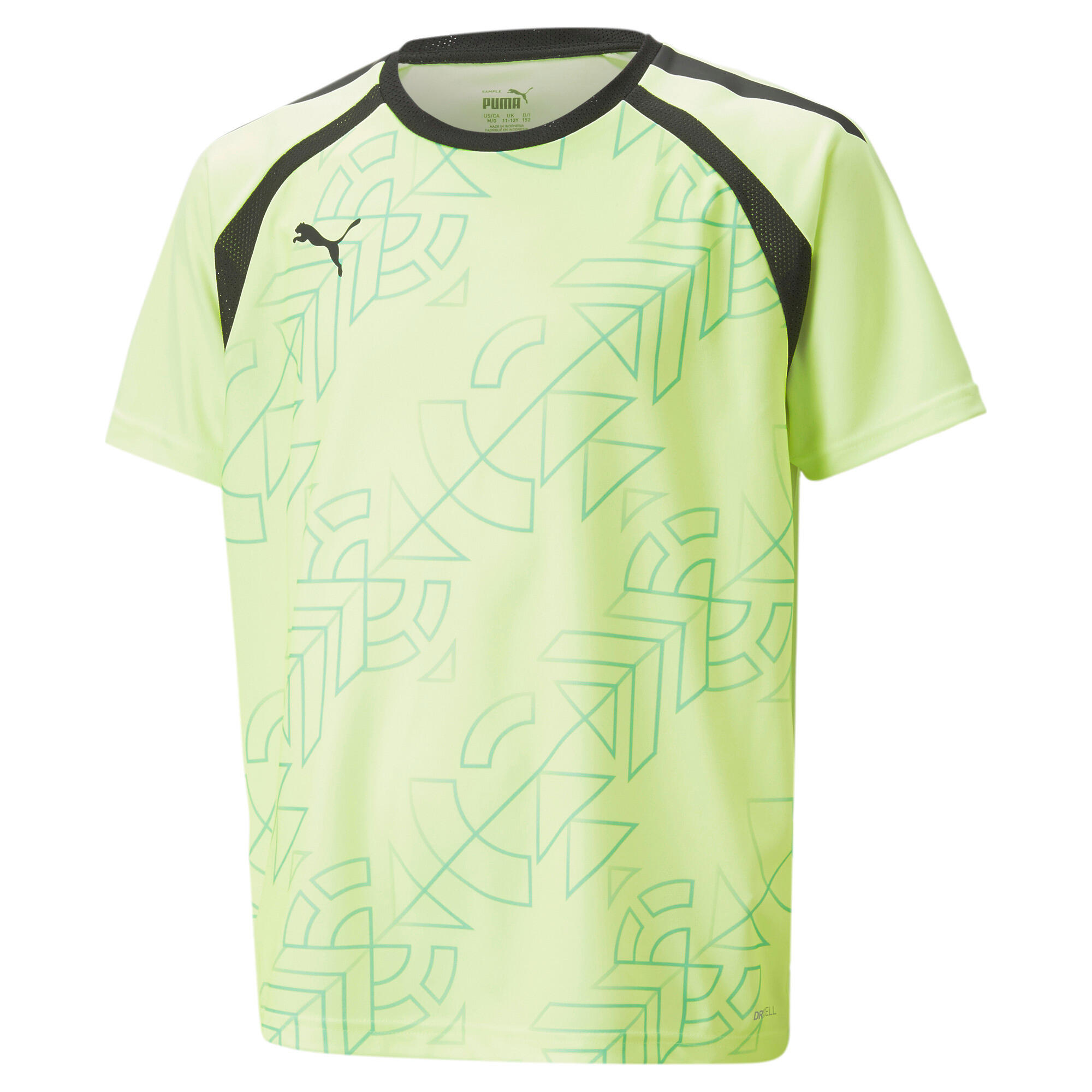 PUMA picture