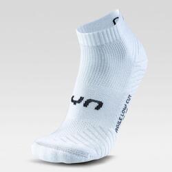 AGILE LOW CUT LOT DE 2 PAIRES DE CHAUSSETTES UNISEXE