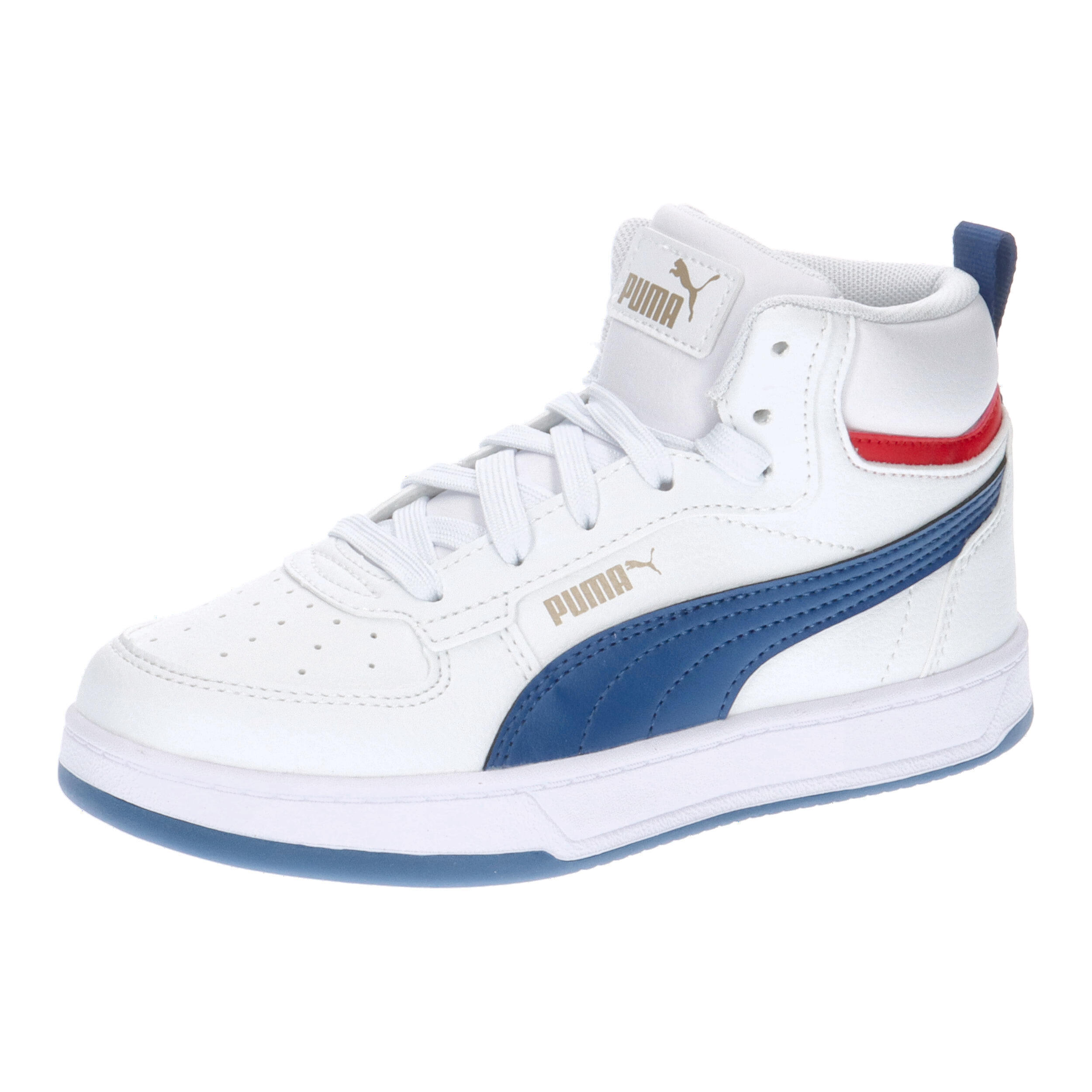 PUMA picture