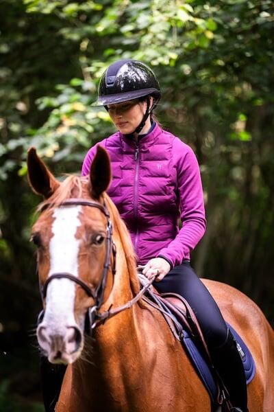 HORSE PILOT picture