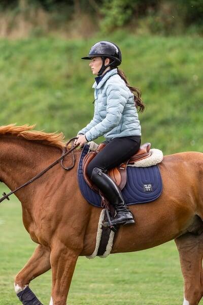 HORSE PILOT picture