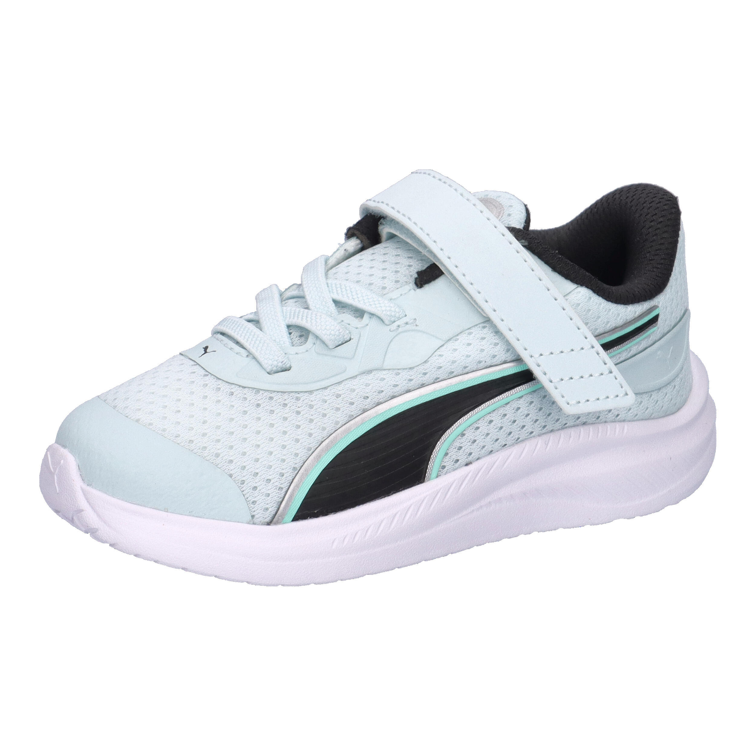 PUMA picture