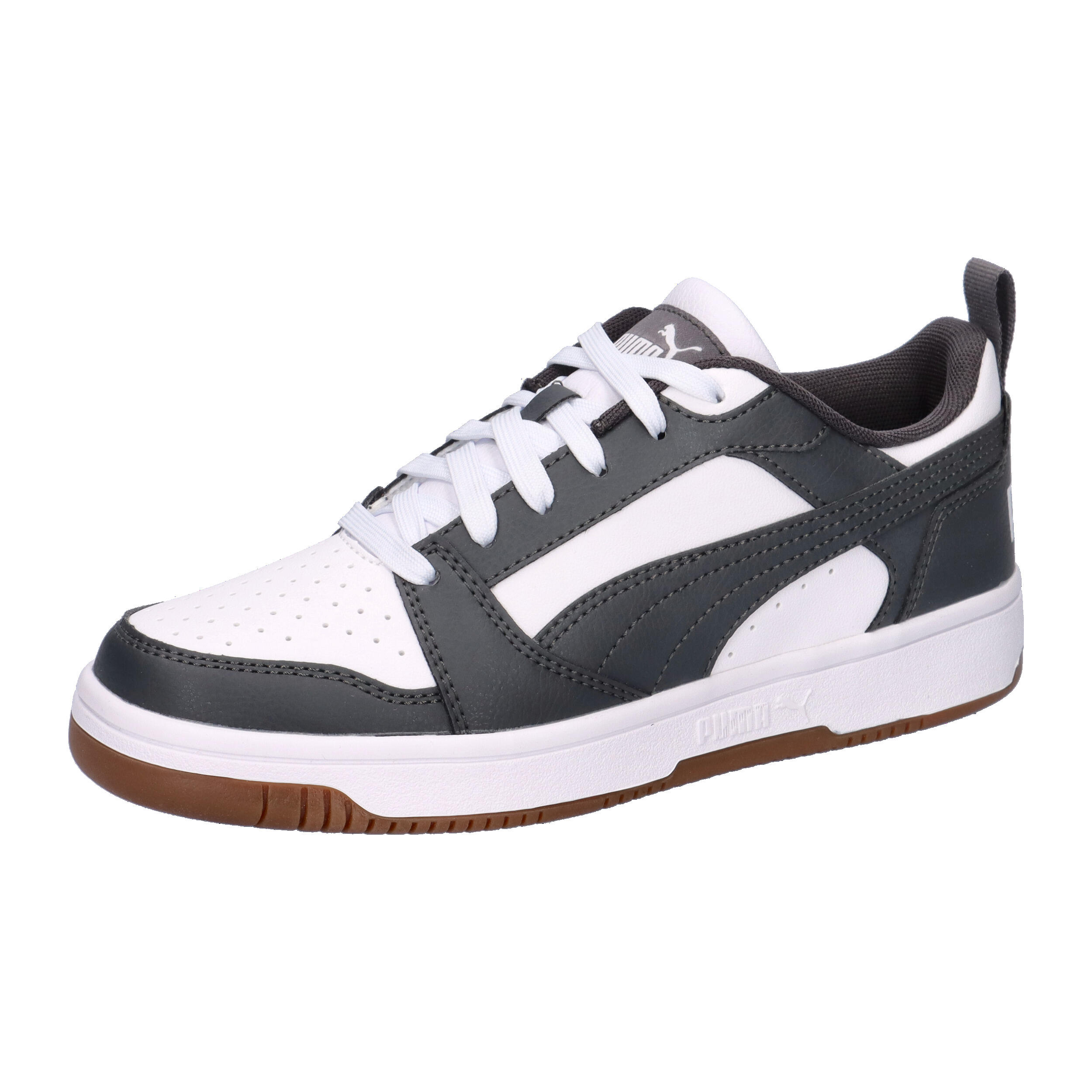 PUMA picture