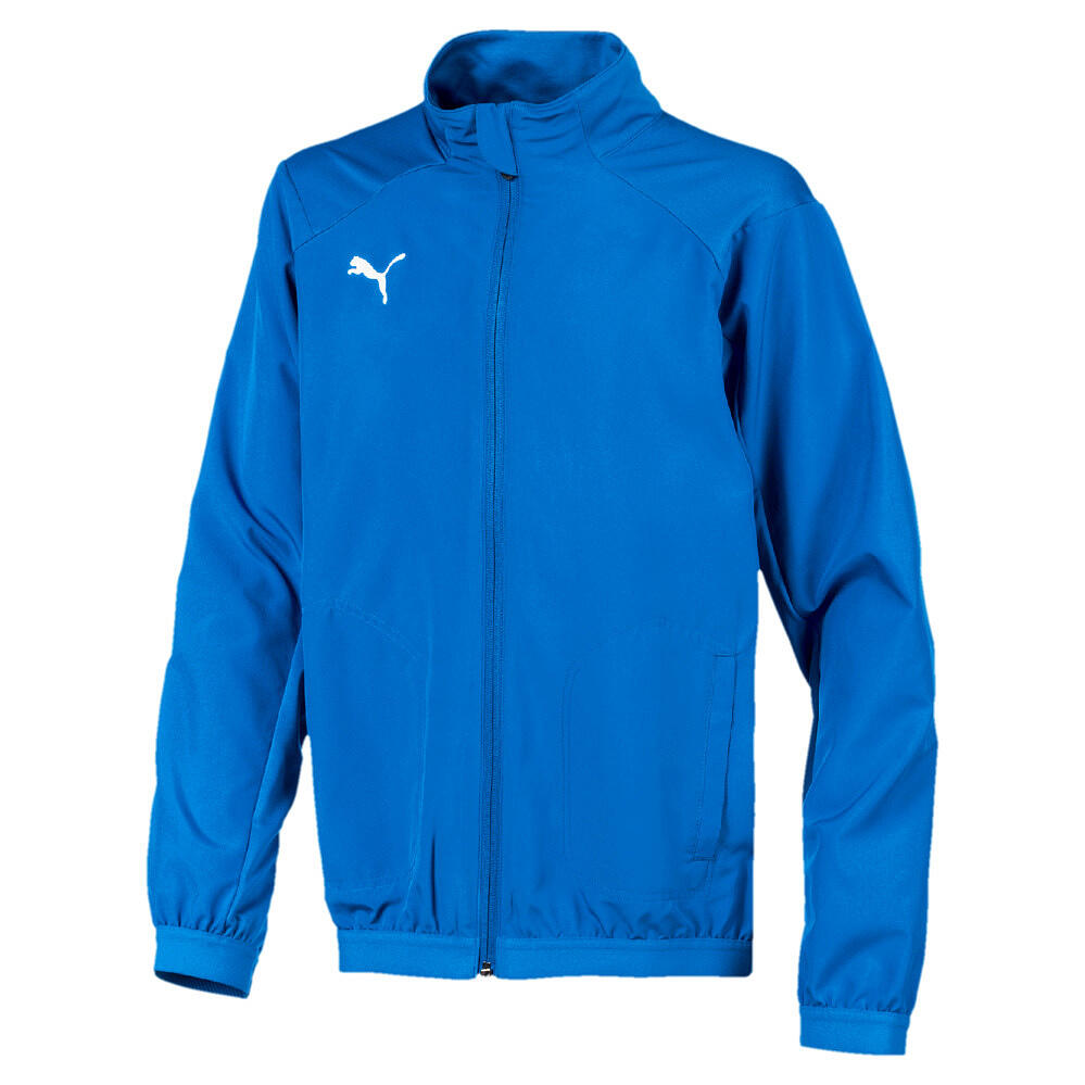 PUMA picture