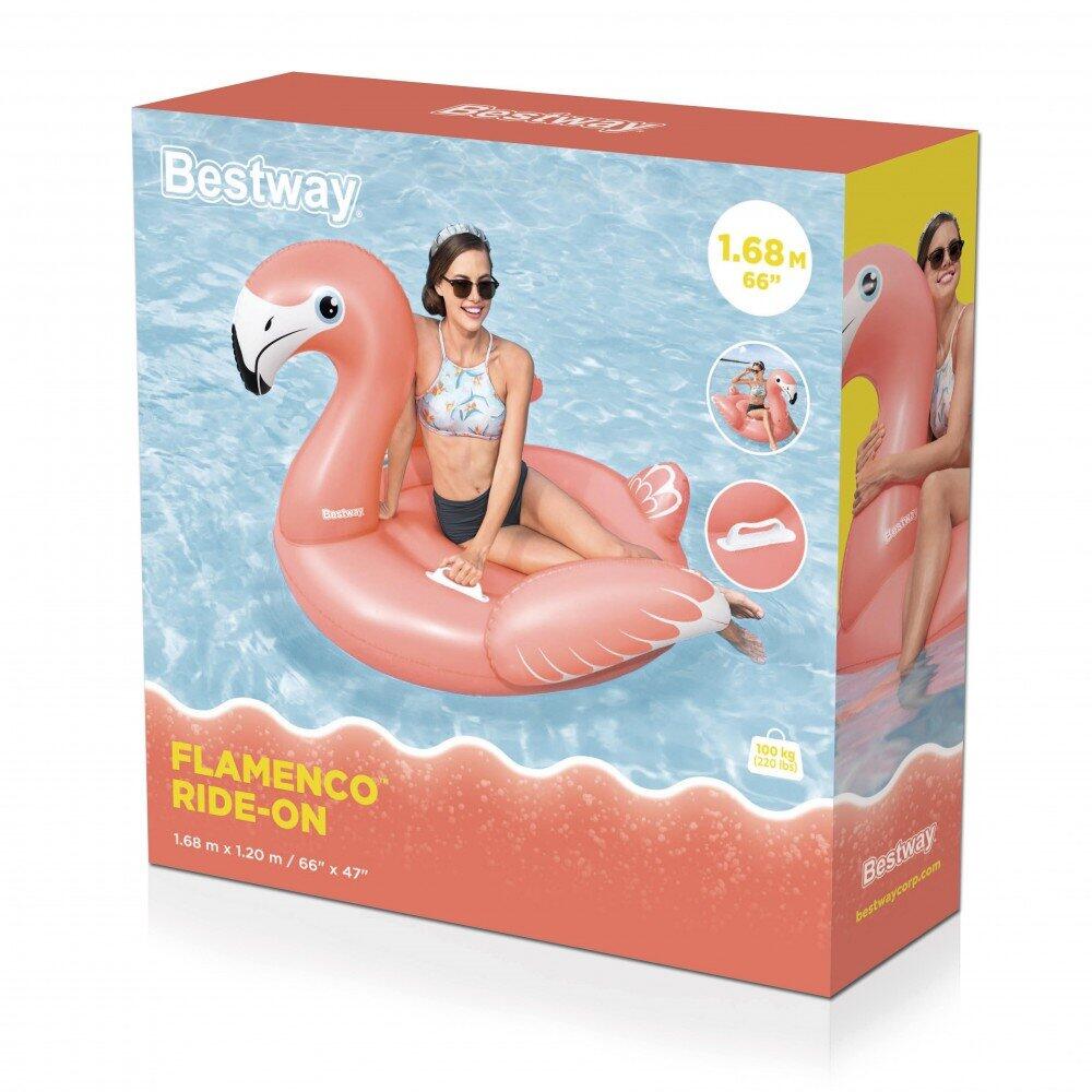 Figura Gonfiabile per Piscina Bestway + 3 anni 5/6