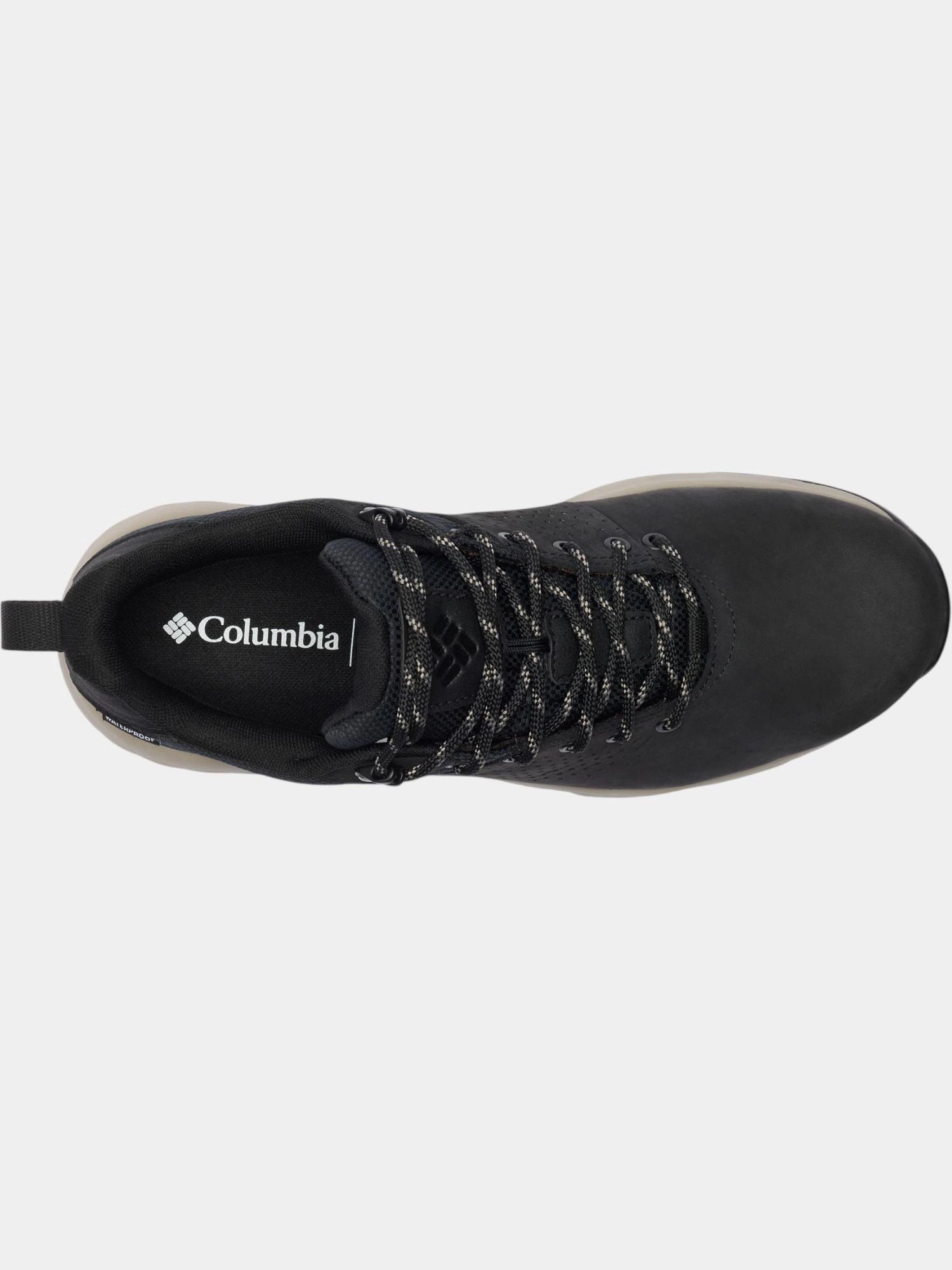 Chaussures Basses Hommes Newton Nimble LTR 6/8