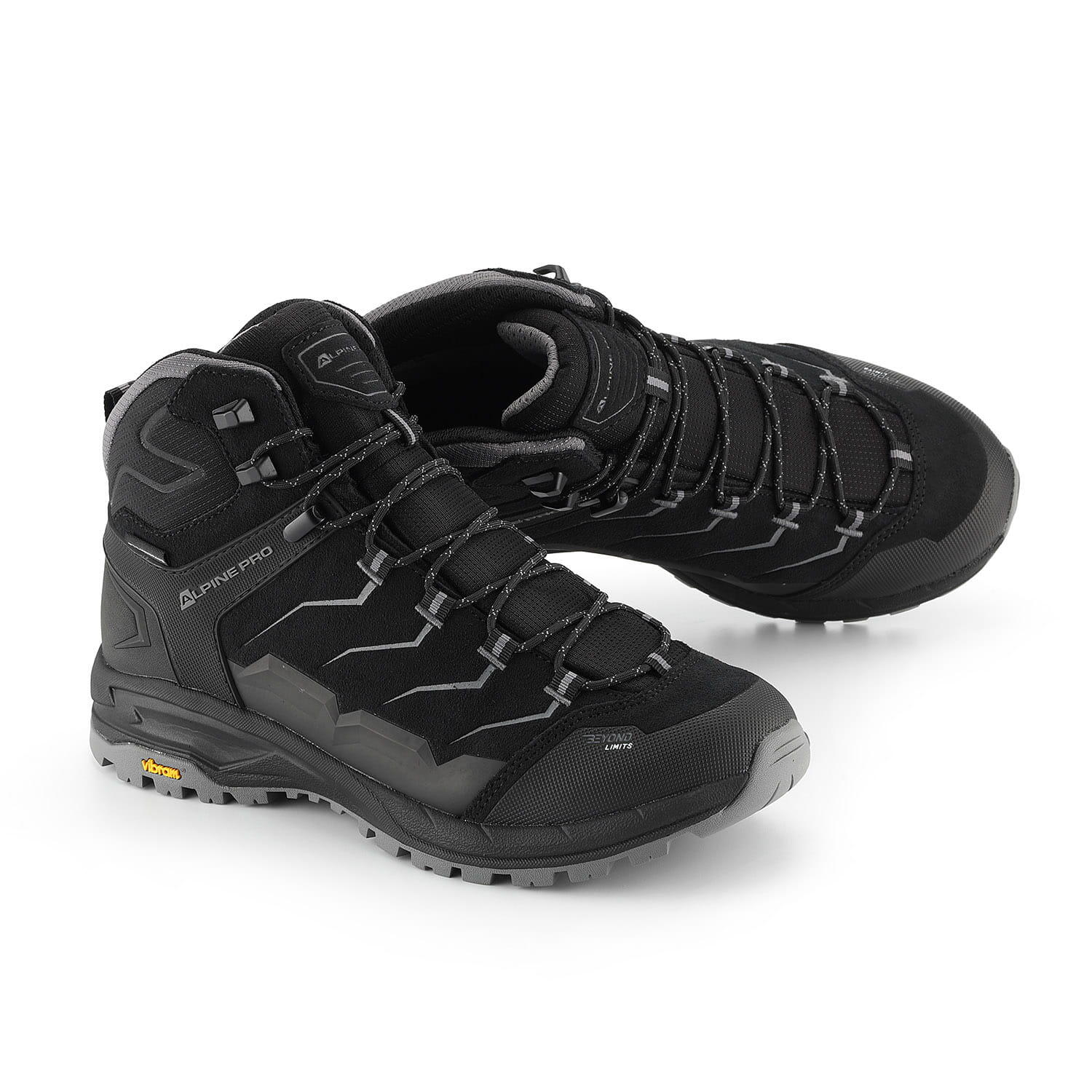 ALPINE PRO picture