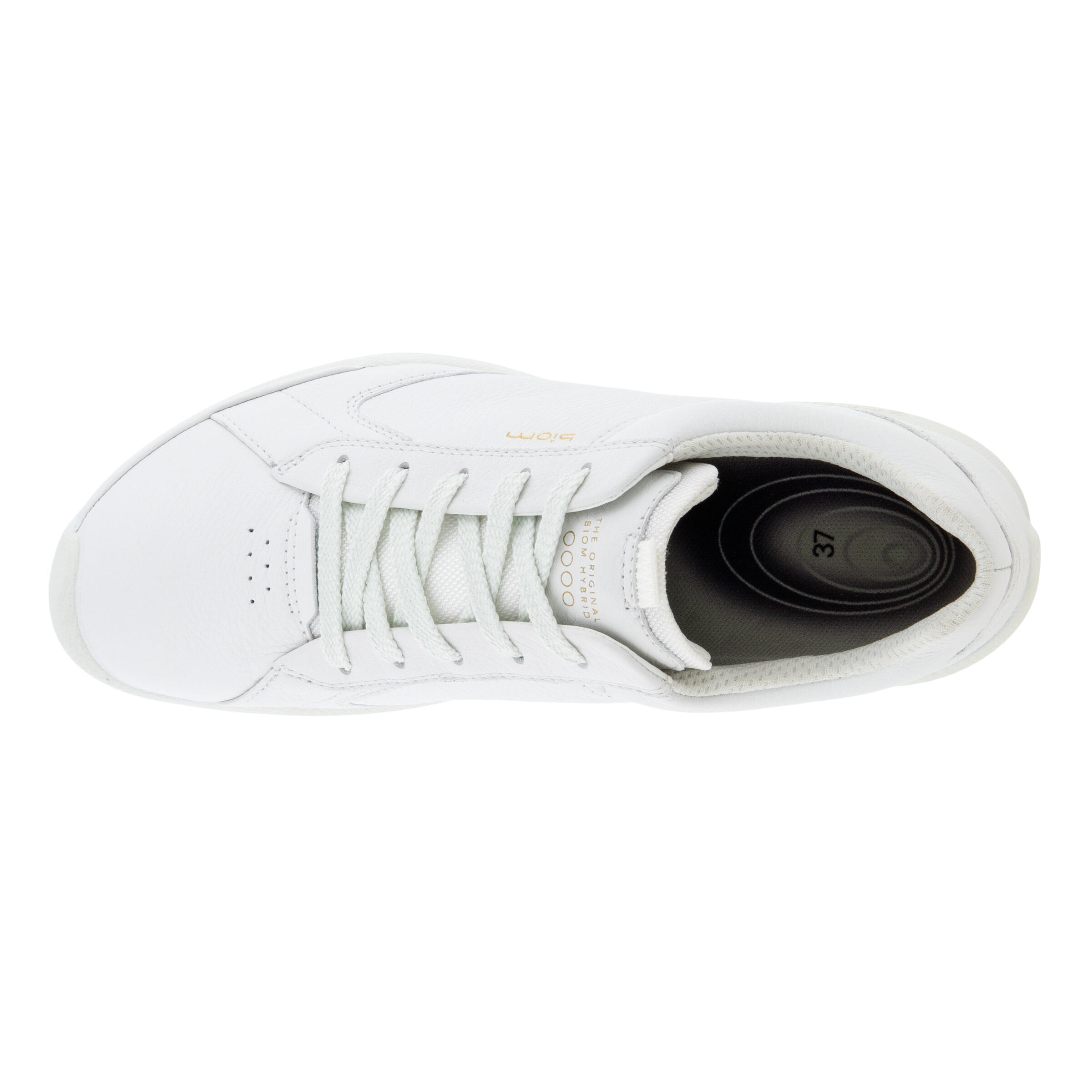 Scarpe da golf senza chiodi da donna Ecco Biom Hybrid 6/7