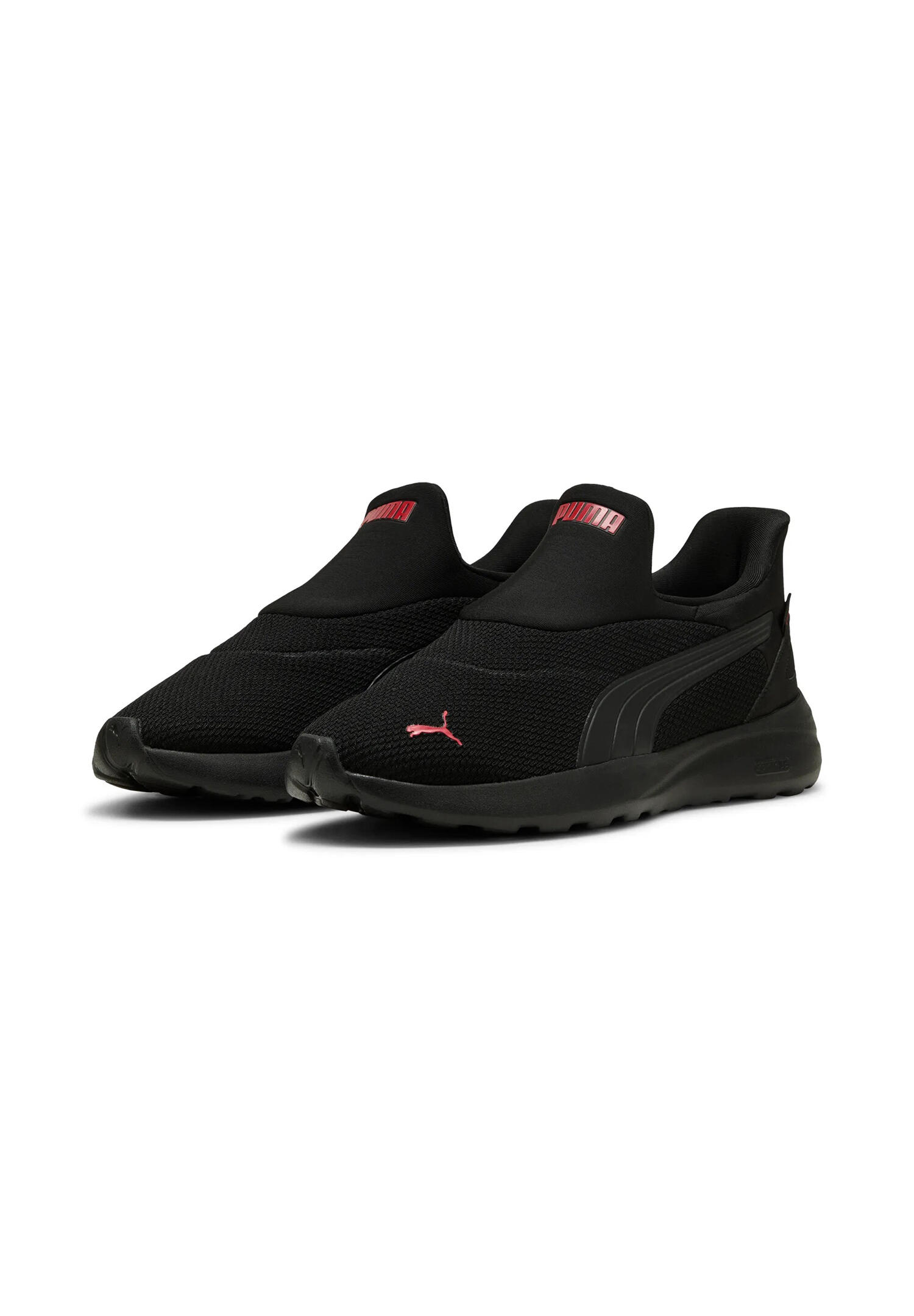 PUMA picture