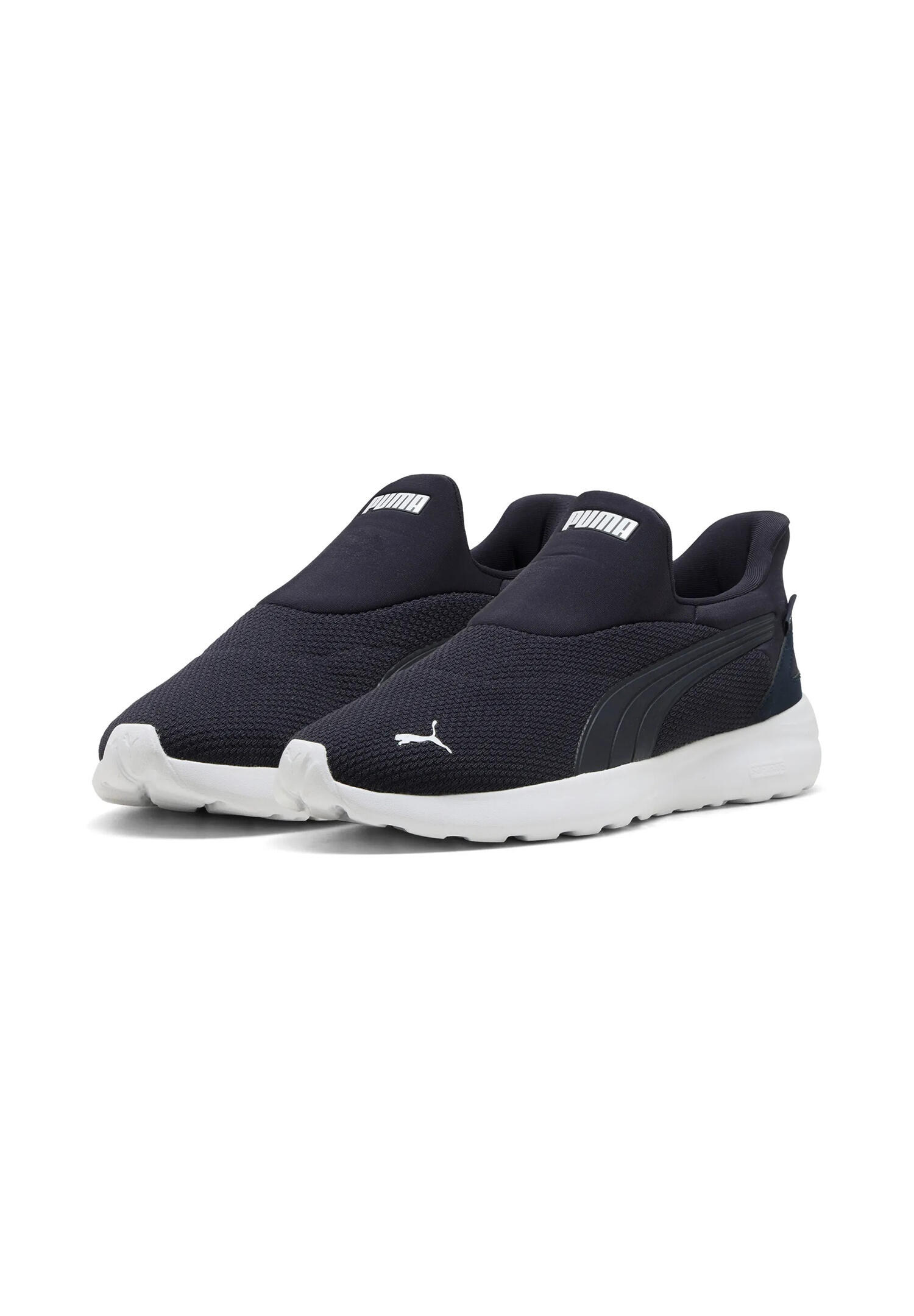 PUMA picture