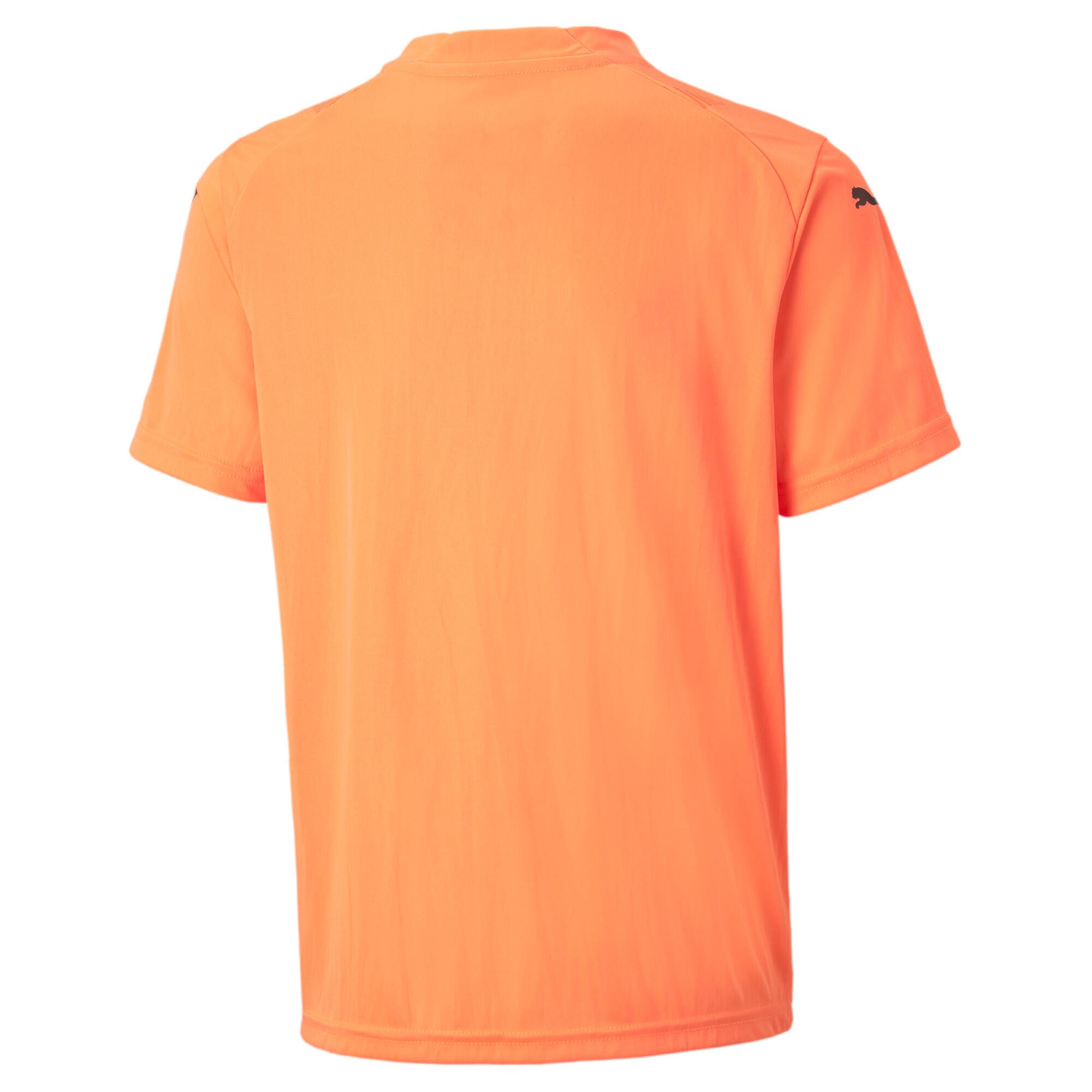 Puma Kinder Trikots teamGLORY Jersey Jr 705309 2/3