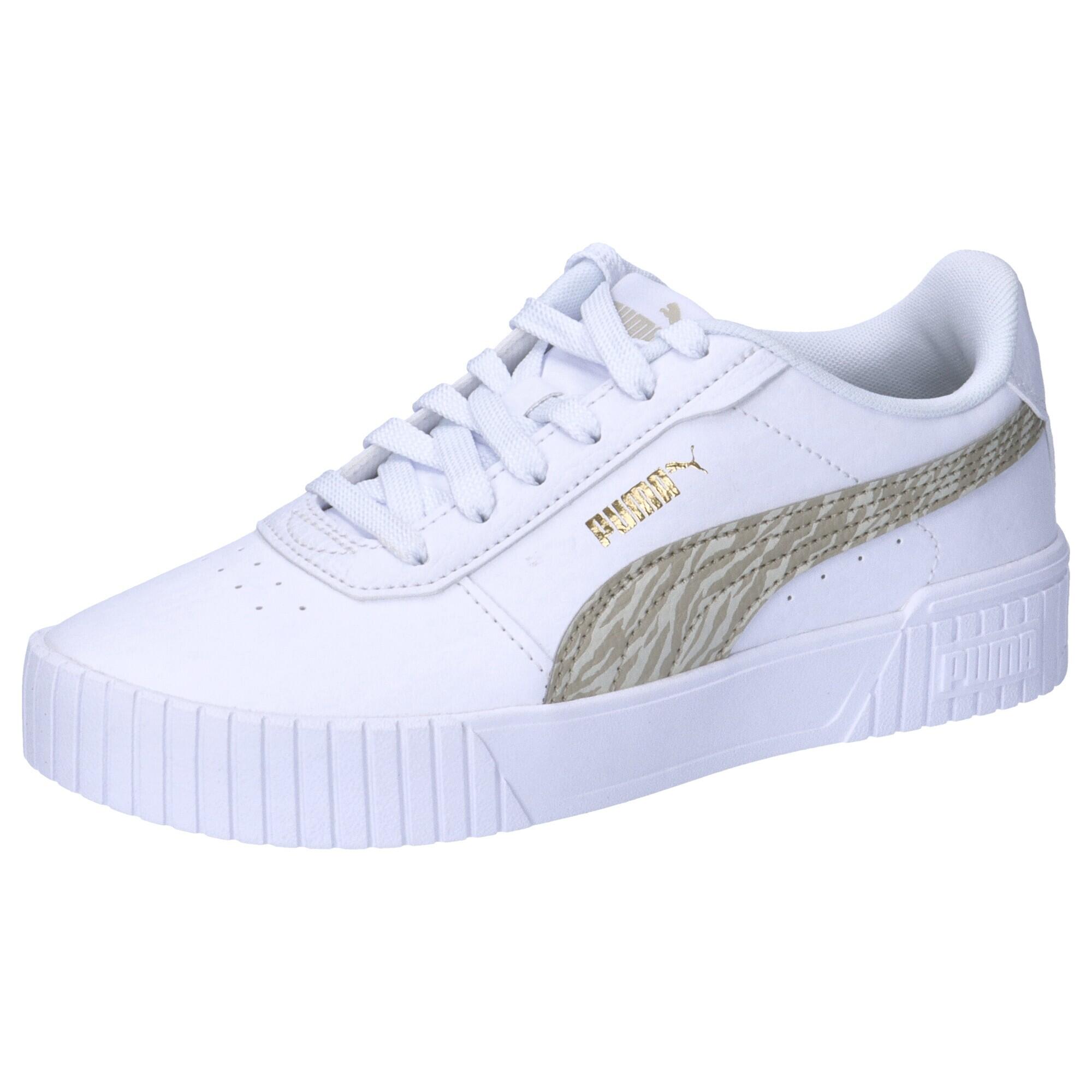 PUMA picture