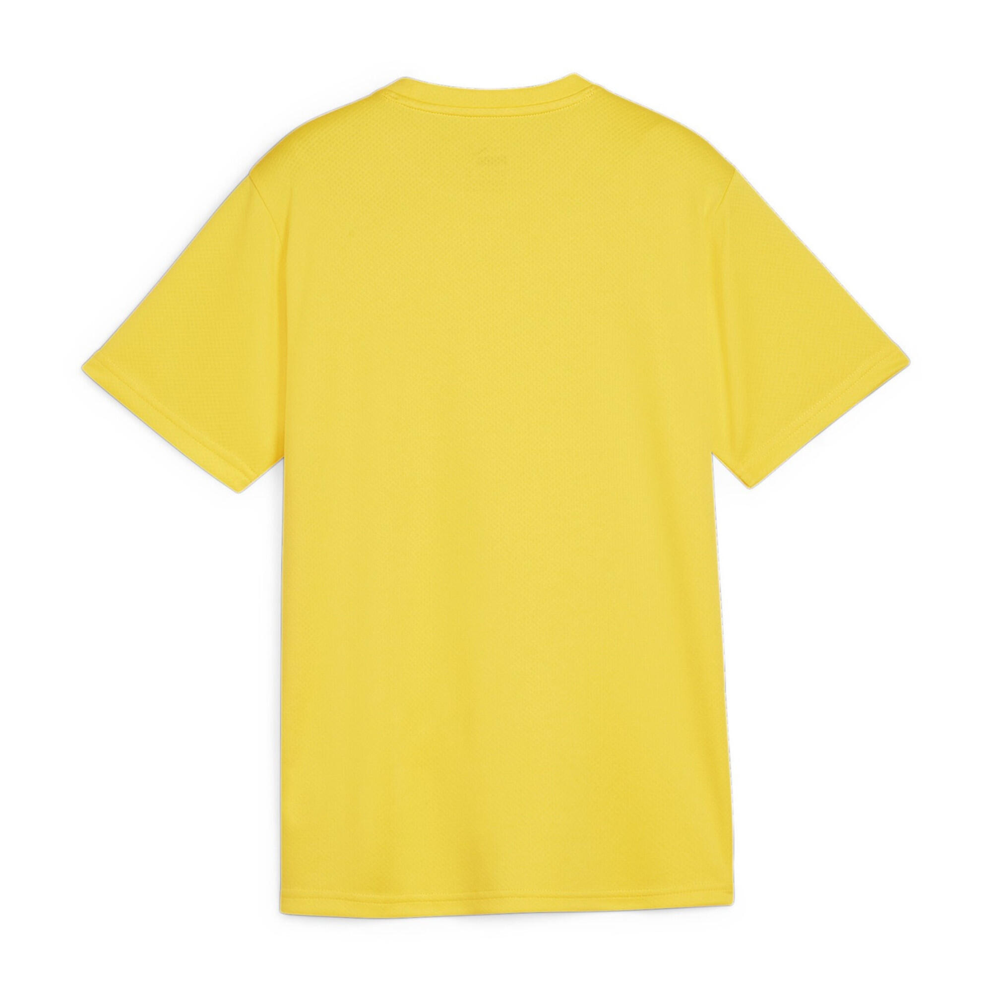 Puma Kinder T-Shirt teamGOAL Jersey Jr 658637 3/3