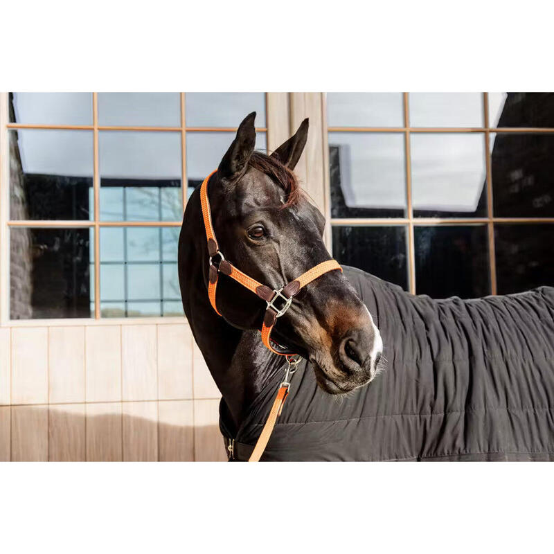 Kentucky Gevlochten Nylon Halster Oranjee -